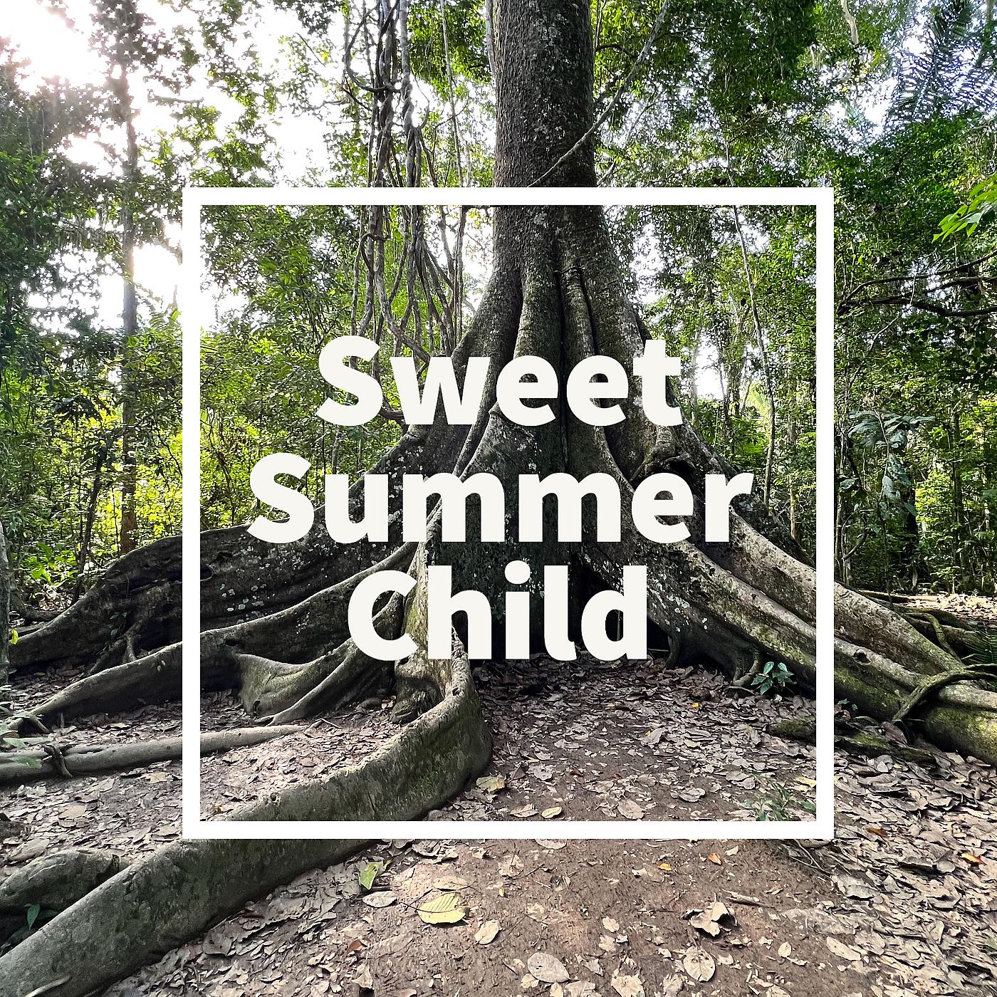 Постер альбома Sweet Summer Child