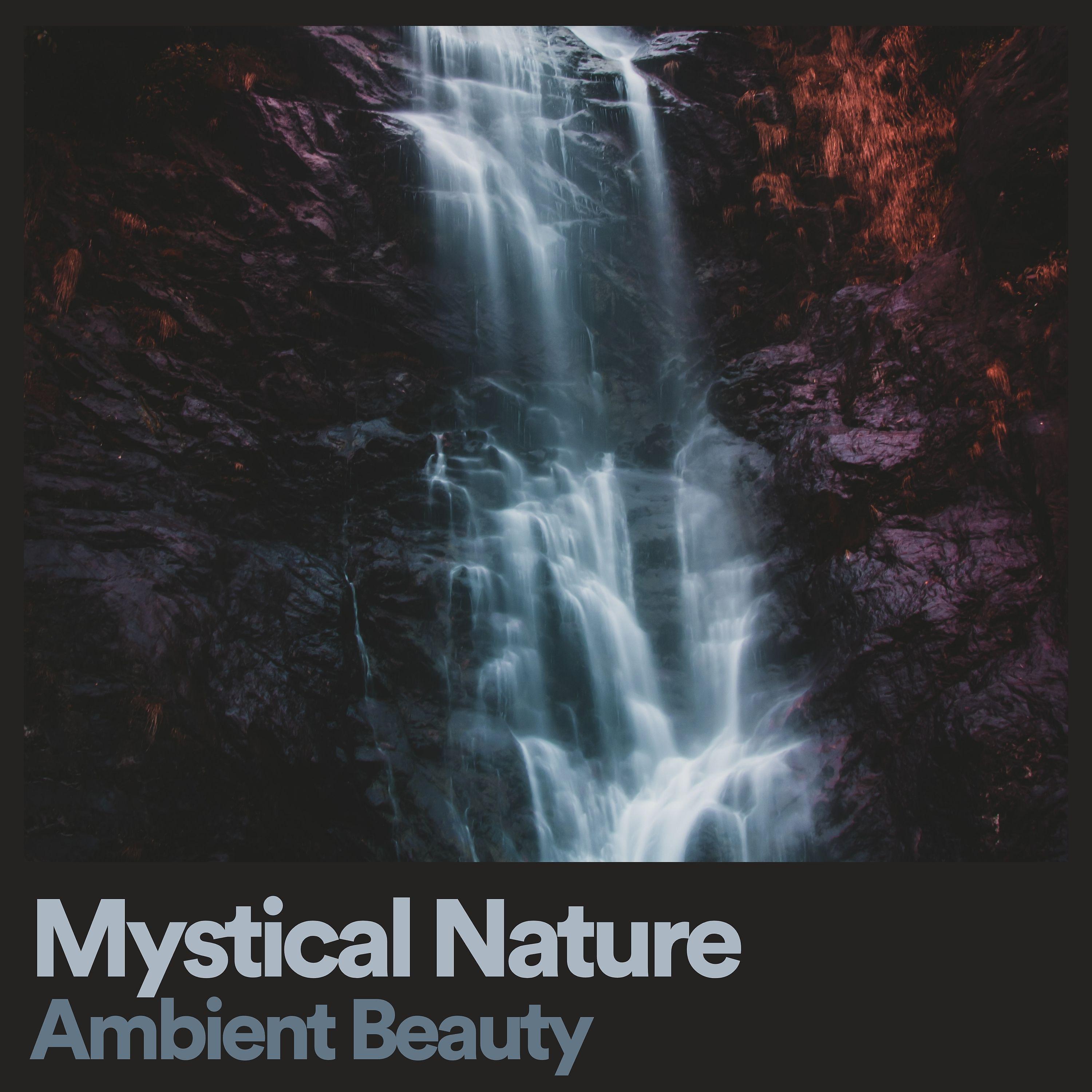 Постер альбома Mystical Nature Ambient Beauty