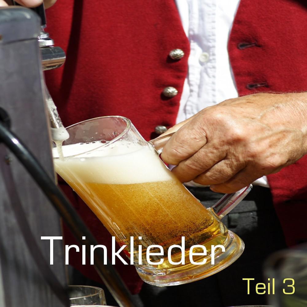 Постер альбома Lustige Trinklieder - Leicht Frivol - Teil 3 / German Beer Drinking Songs - Volume 3