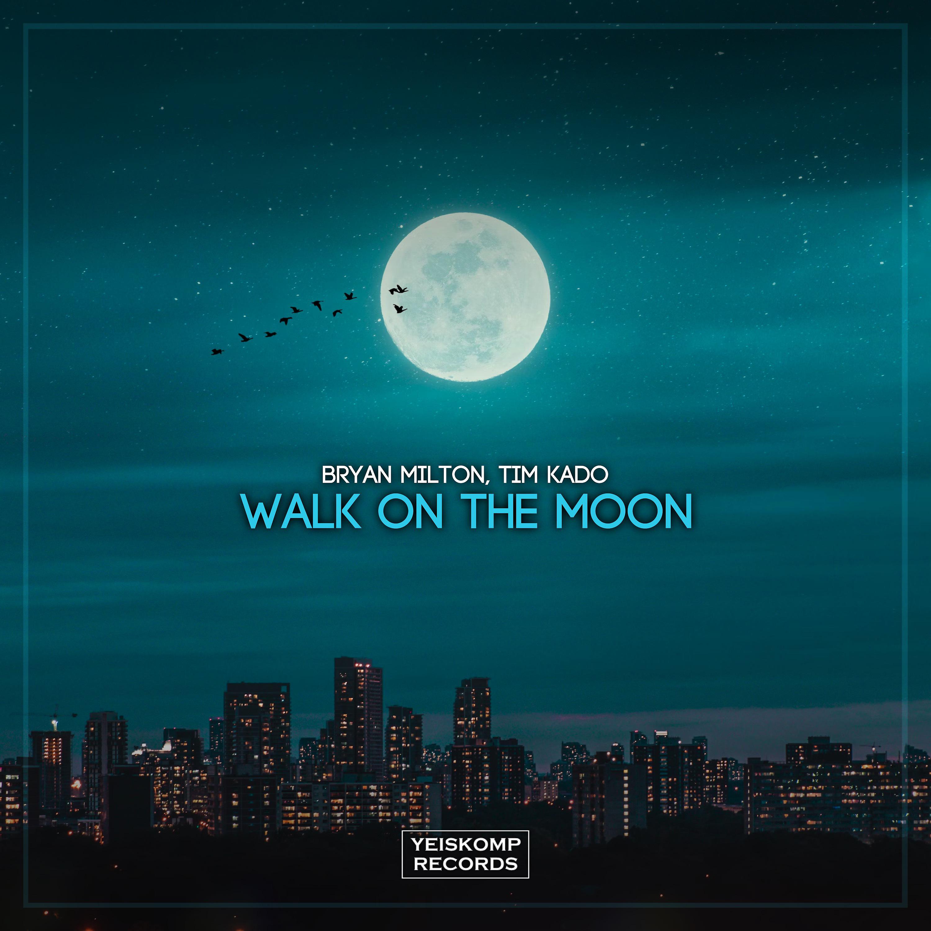 Постер альбома Walk On The Moon