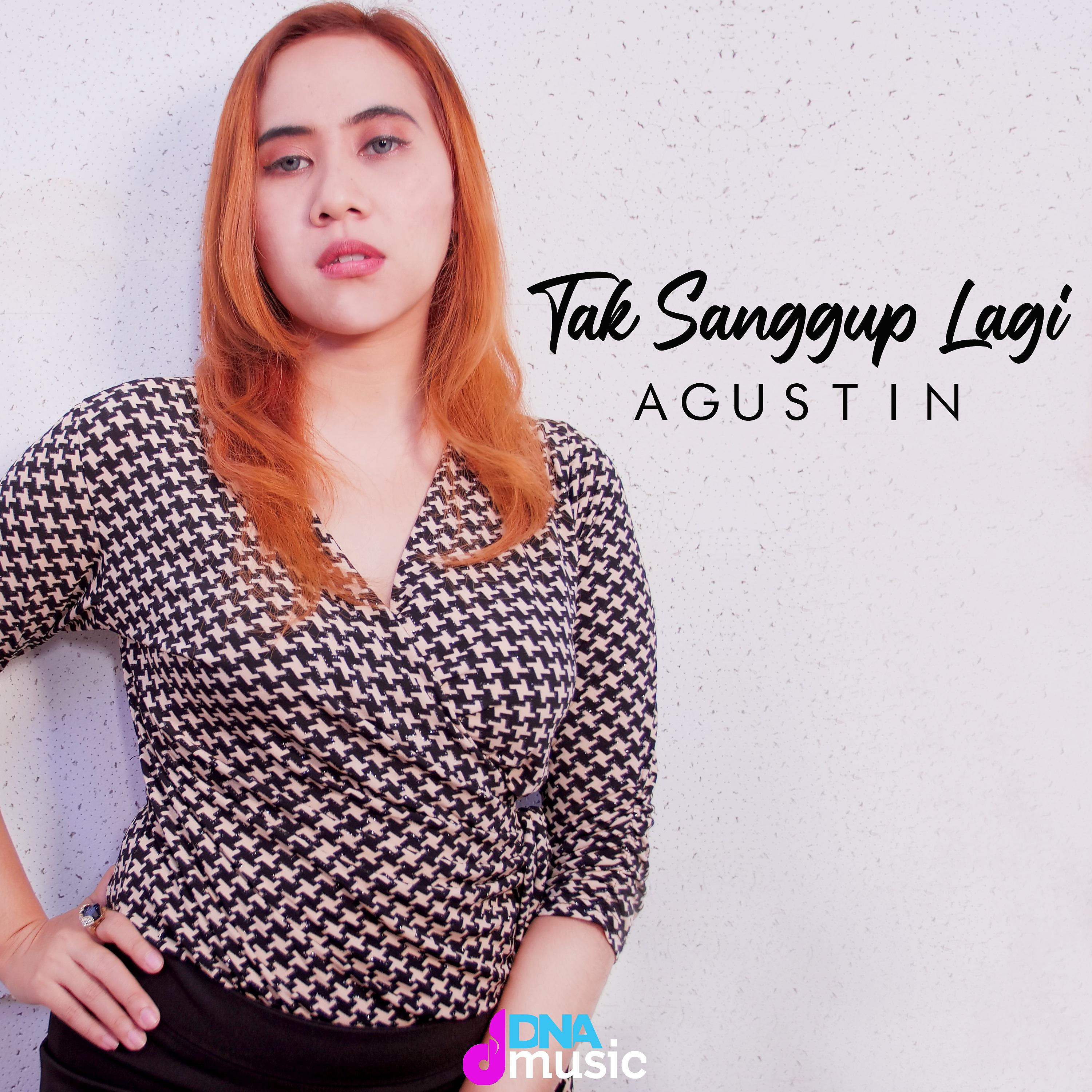 Постер альбома Tak Sanggup Lagi
