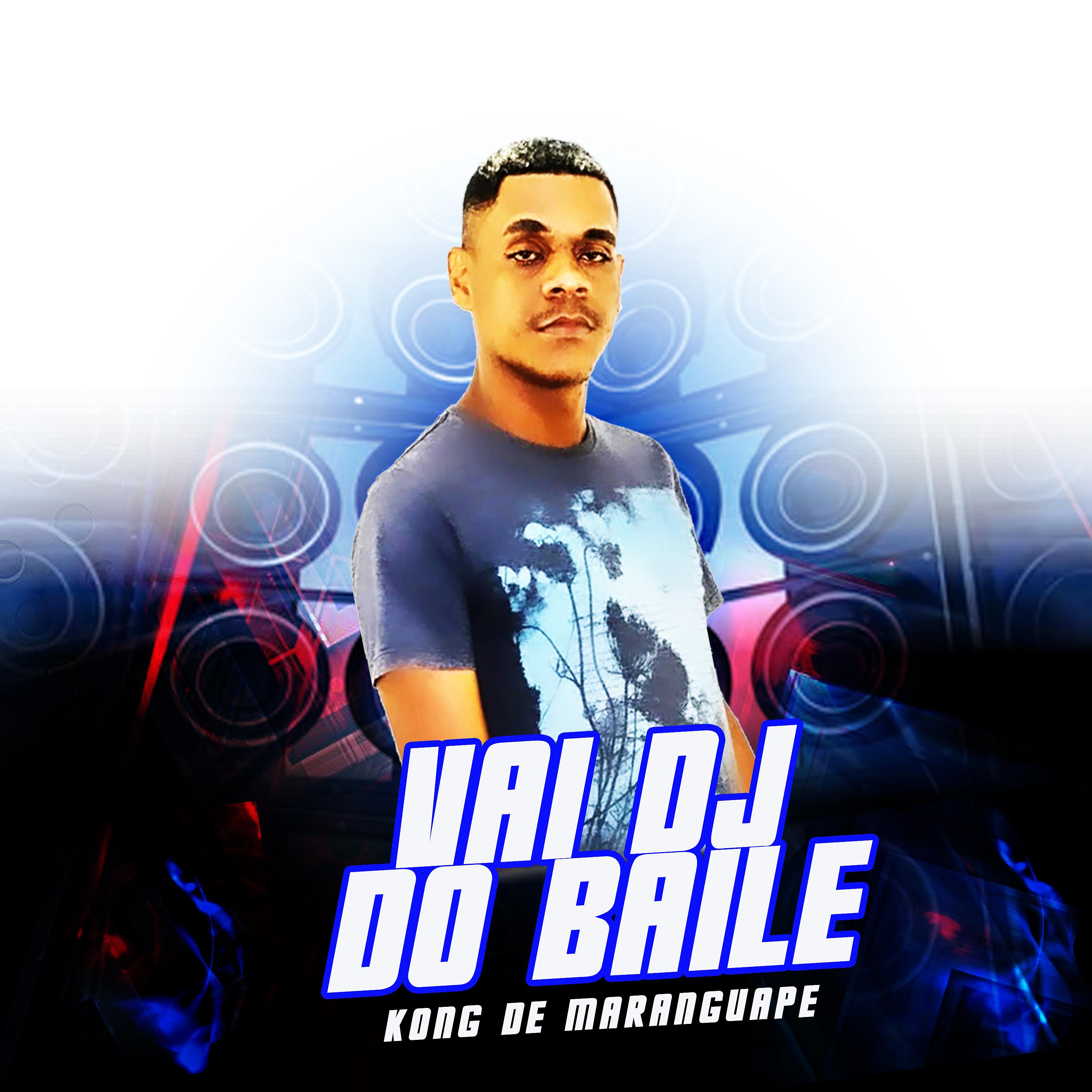 Постер альбома Vai Dj do Baile