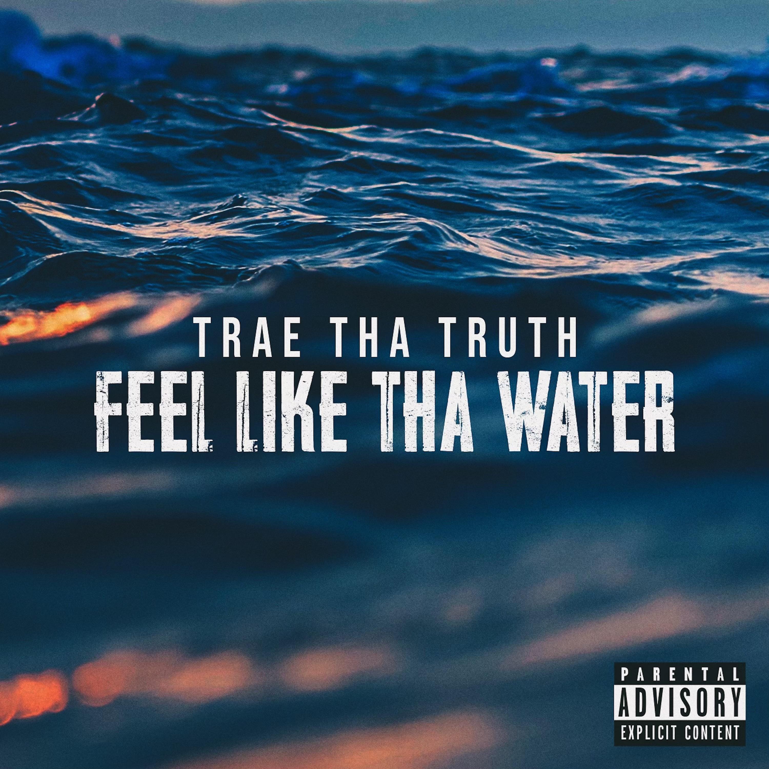 Постер альбома Feel Like Tha Water