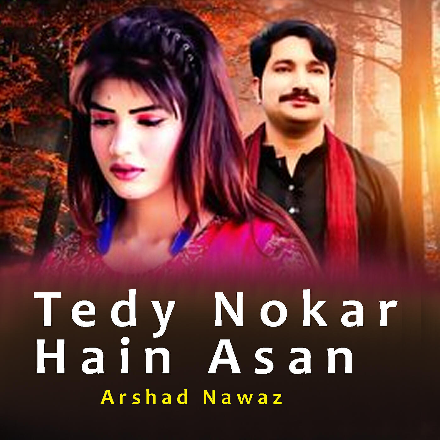 Arshad Nawaz - Tedy Nokar Hain Asan