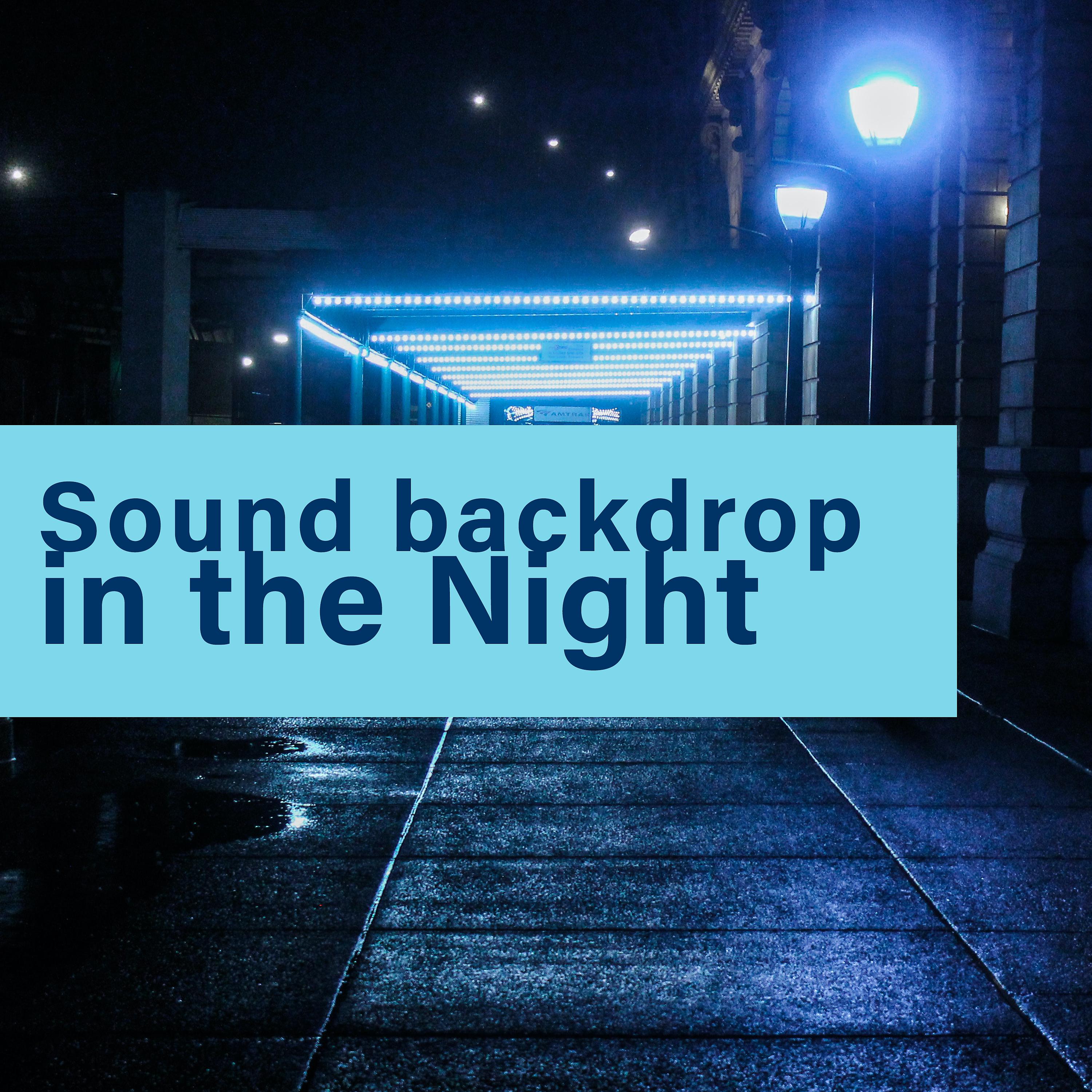 Постер альбома Sound Backdrop in the Night