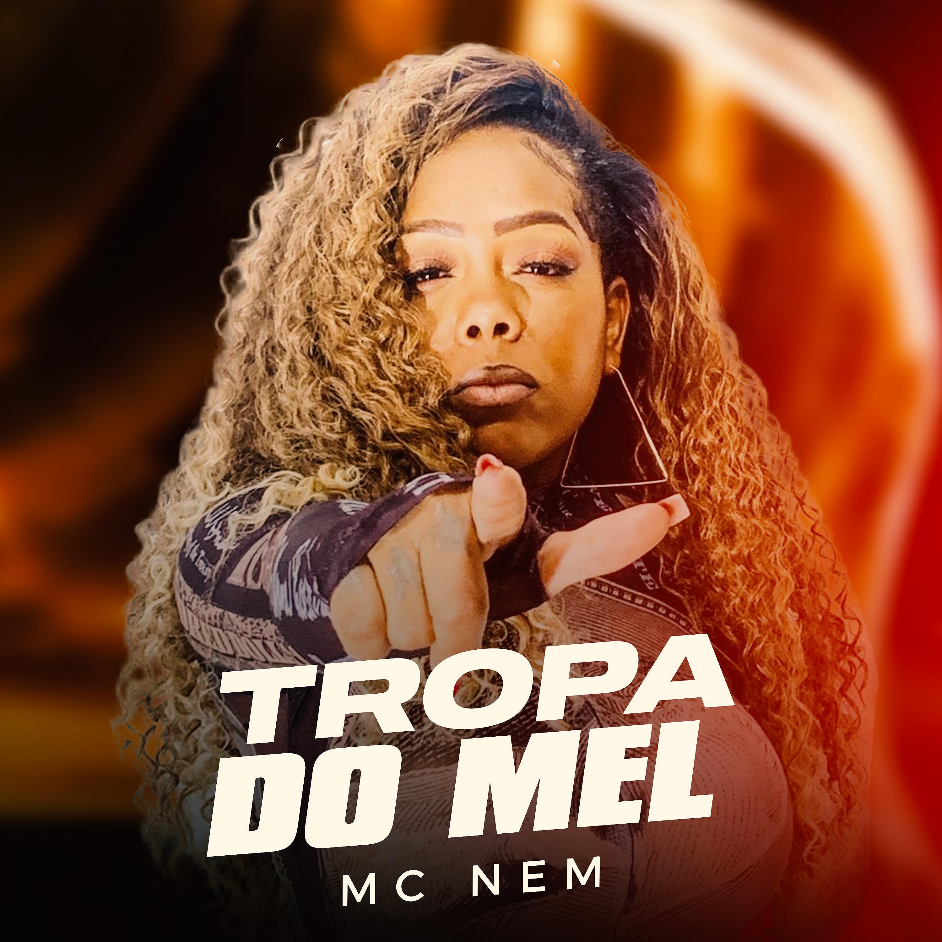 Постер альбома Tropa do Mel