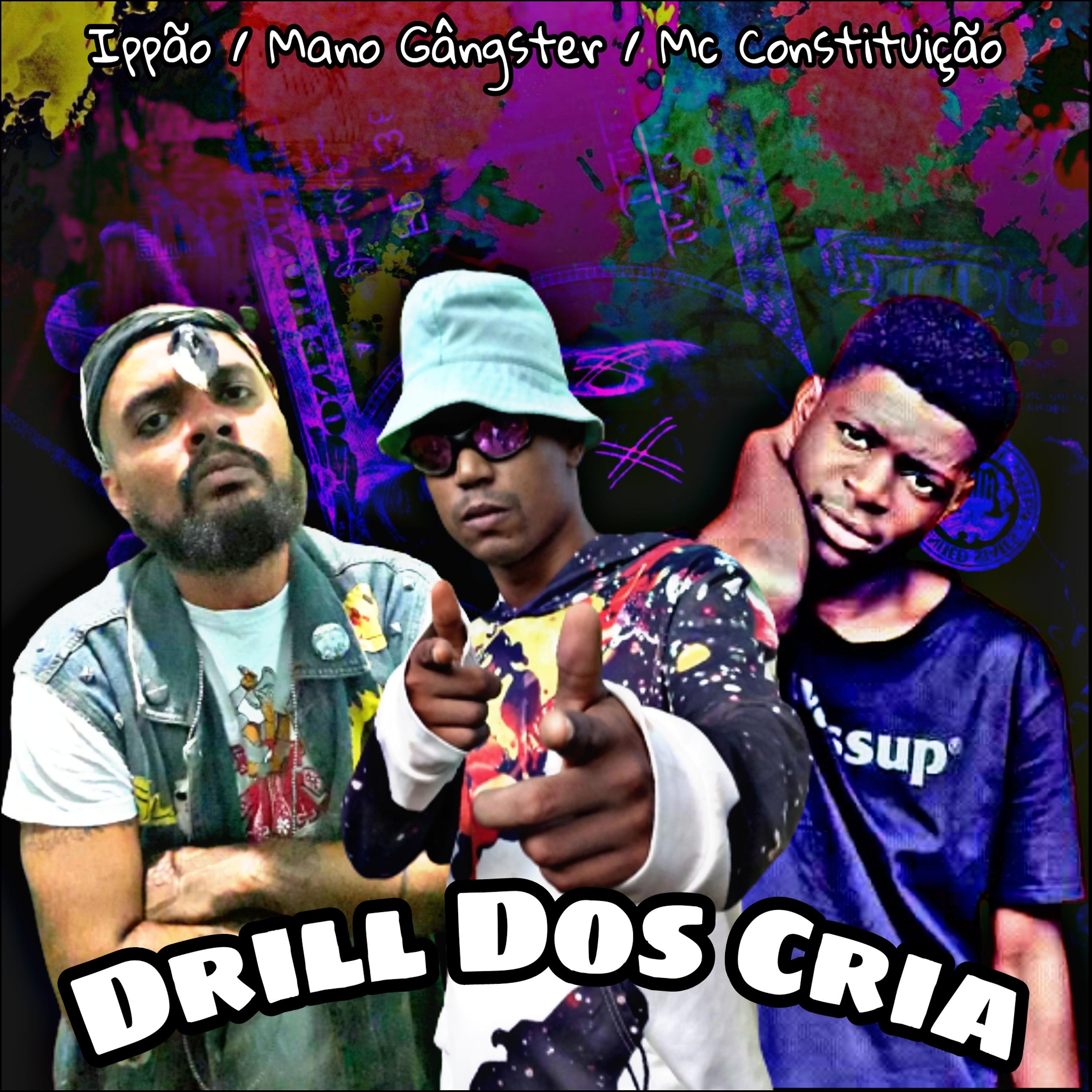 Постер альбома Drill dos Cria