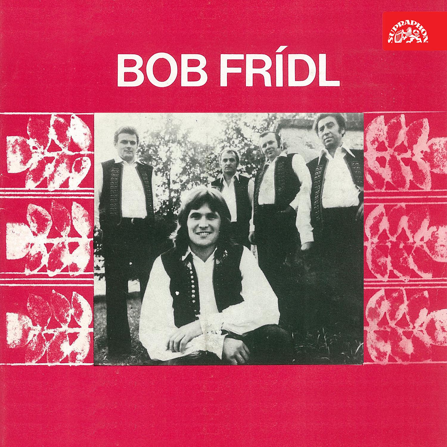Постер альбома Bob Frídl