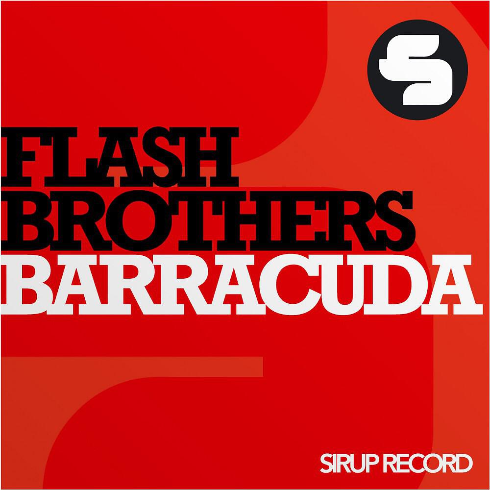 Flash Brothers - Barracuda (Thomas Schwartz Remix)