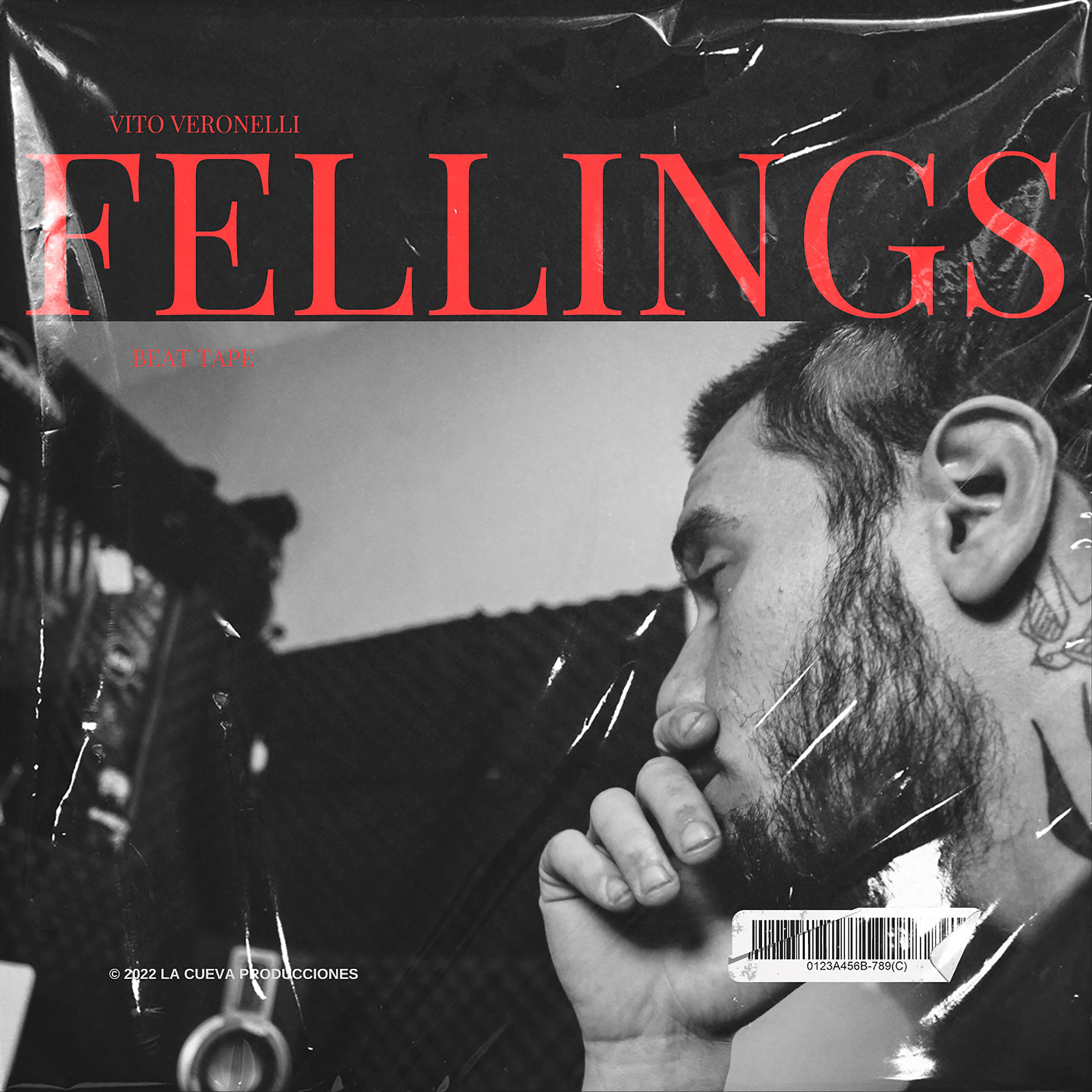Постер альбома Fellings
