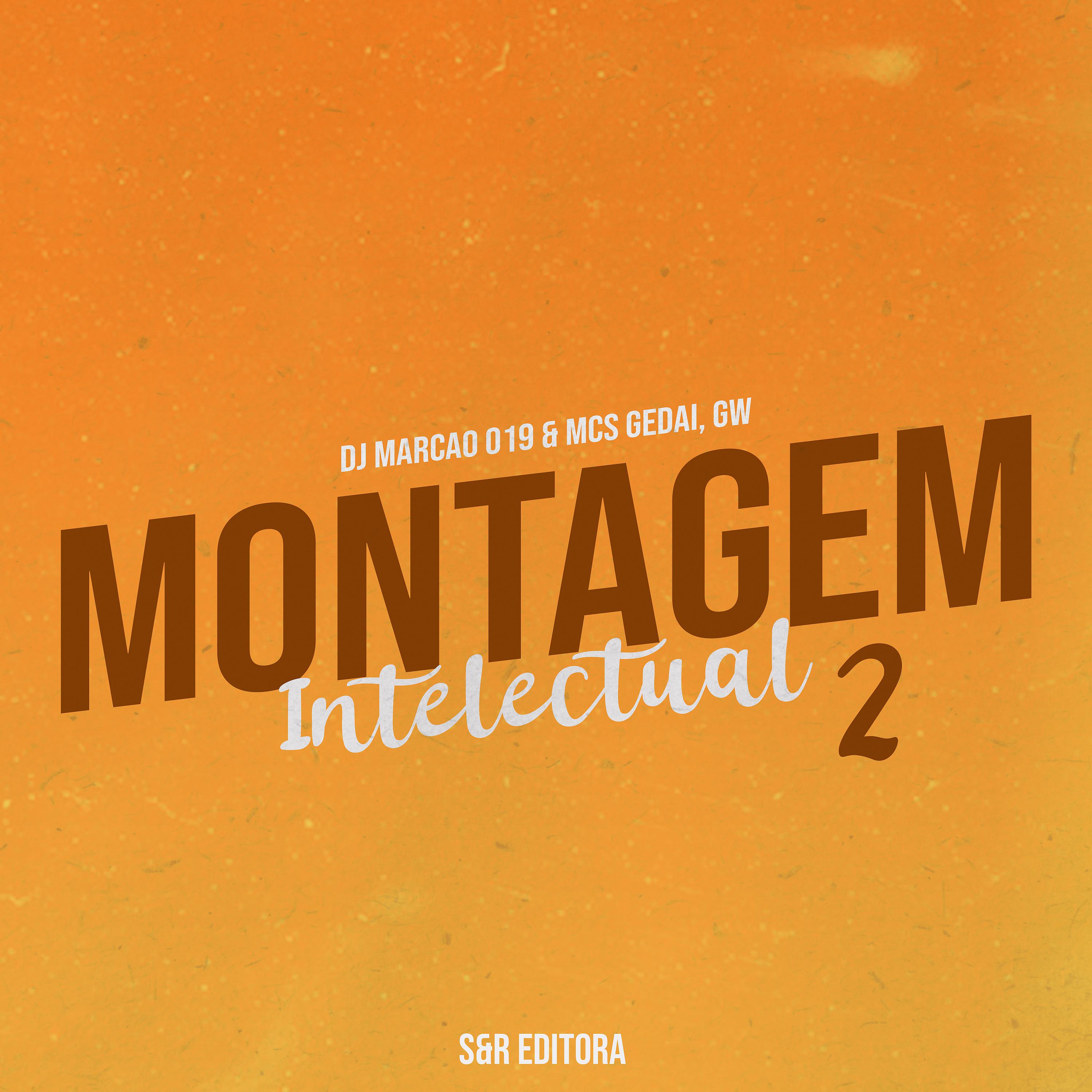 Постер альбома Montagem Intelectual 2