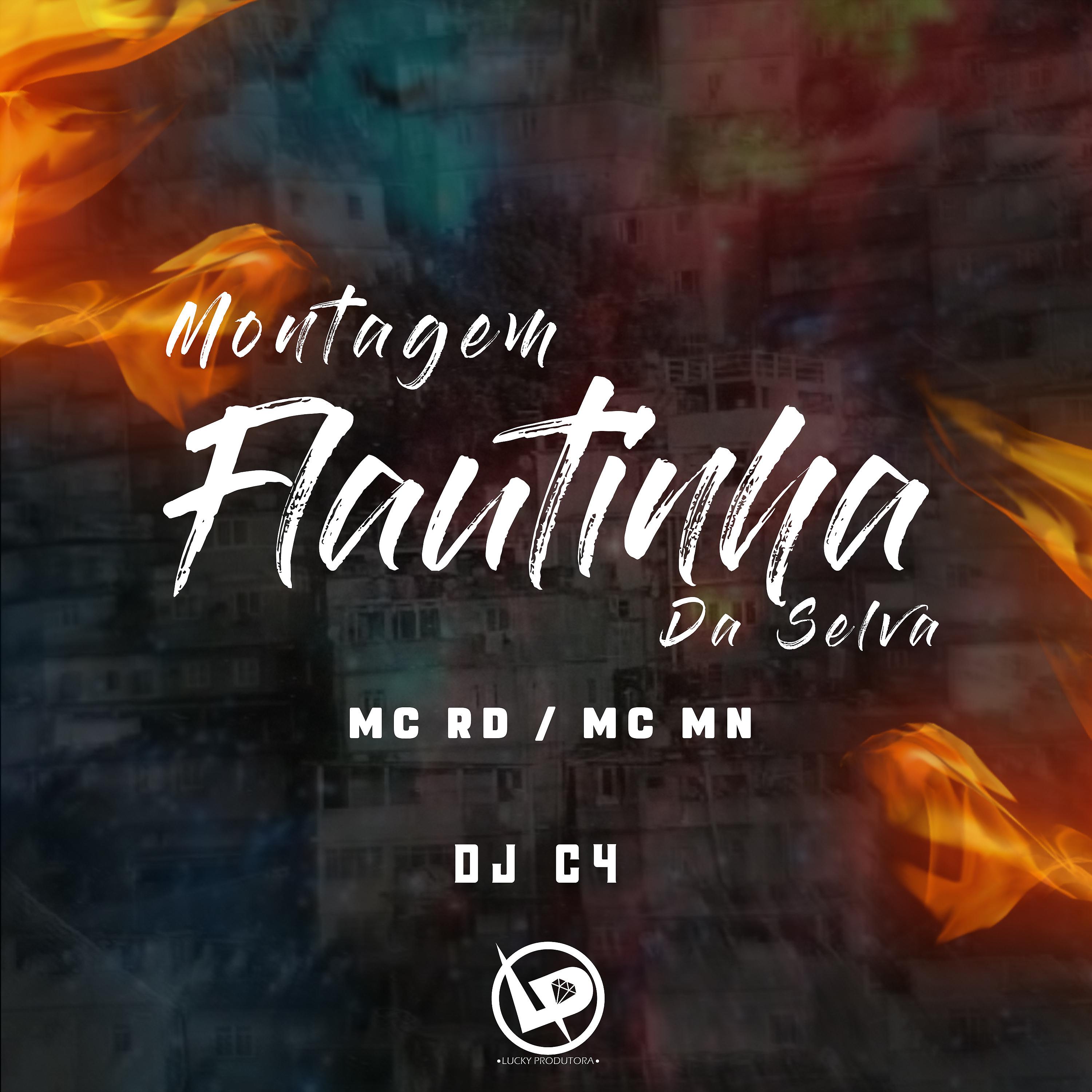 Постер альбома Montagem Flautinha da Selva