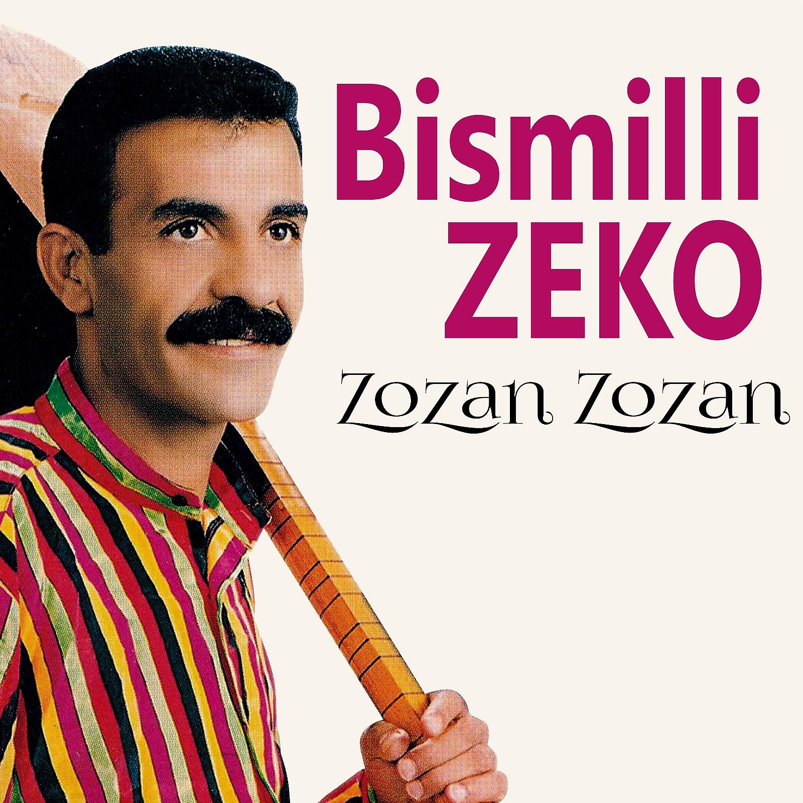 Постер альбома Zozan Zozan