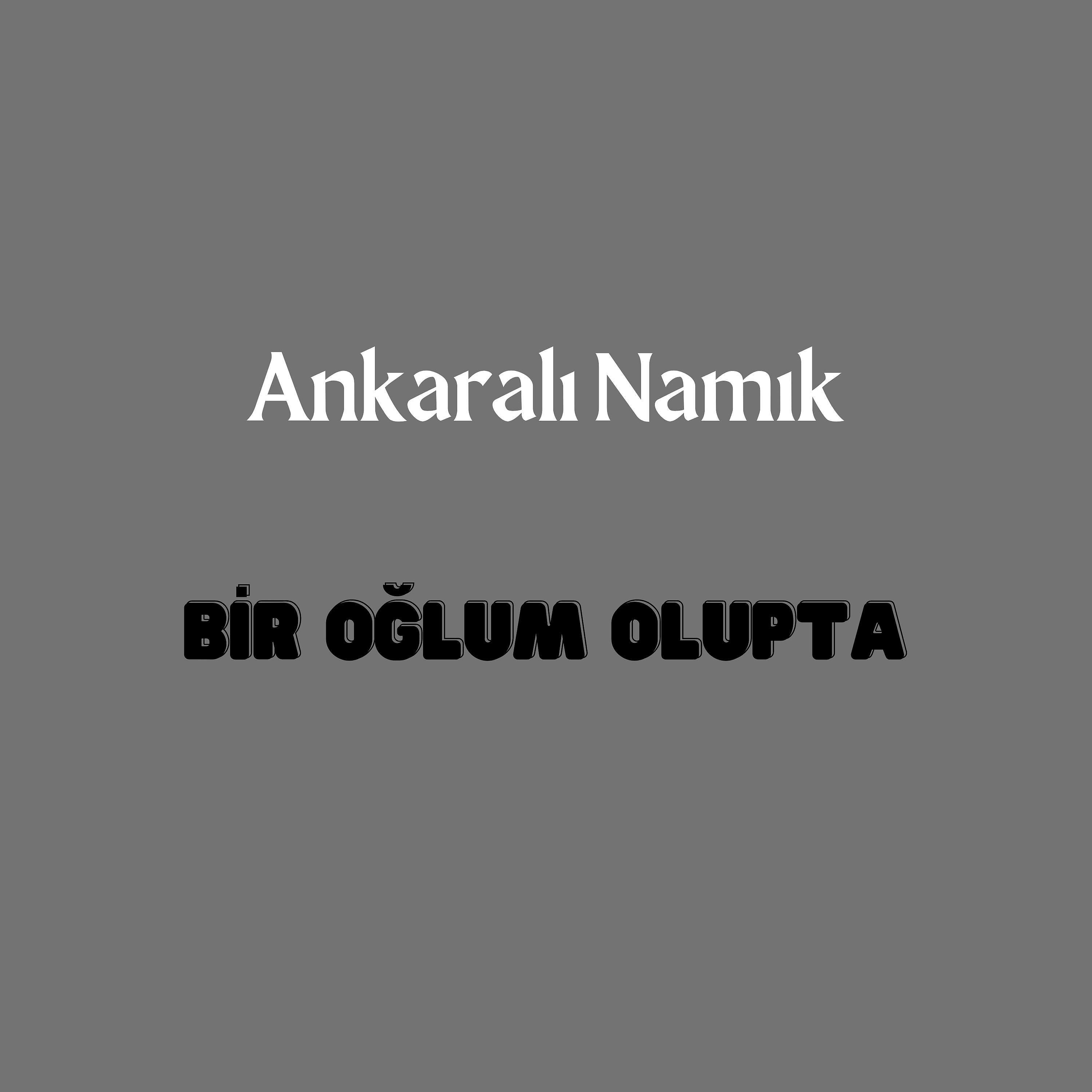 Постер альбома Bir Oğlum Olupta