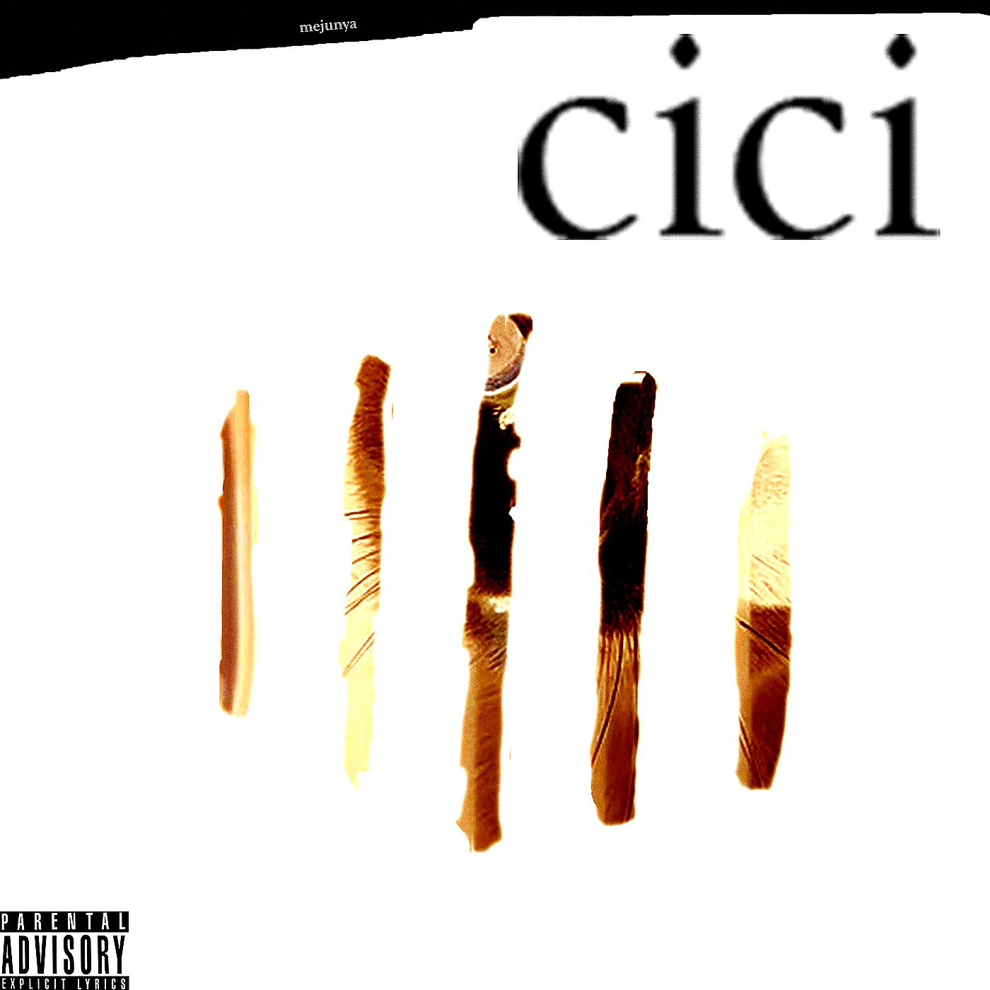 Постер альбома Cici