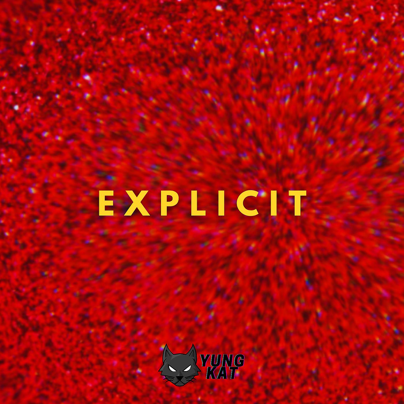 Постер альбома Explicit