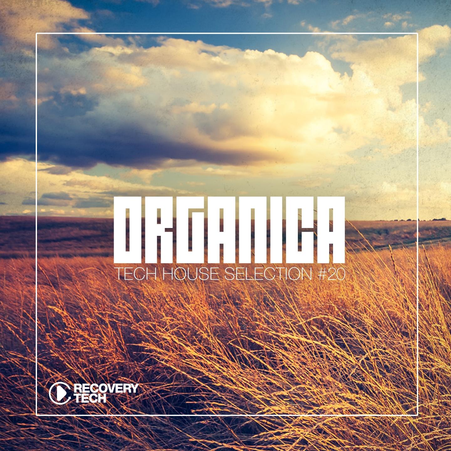 Постер альбома Organica #20