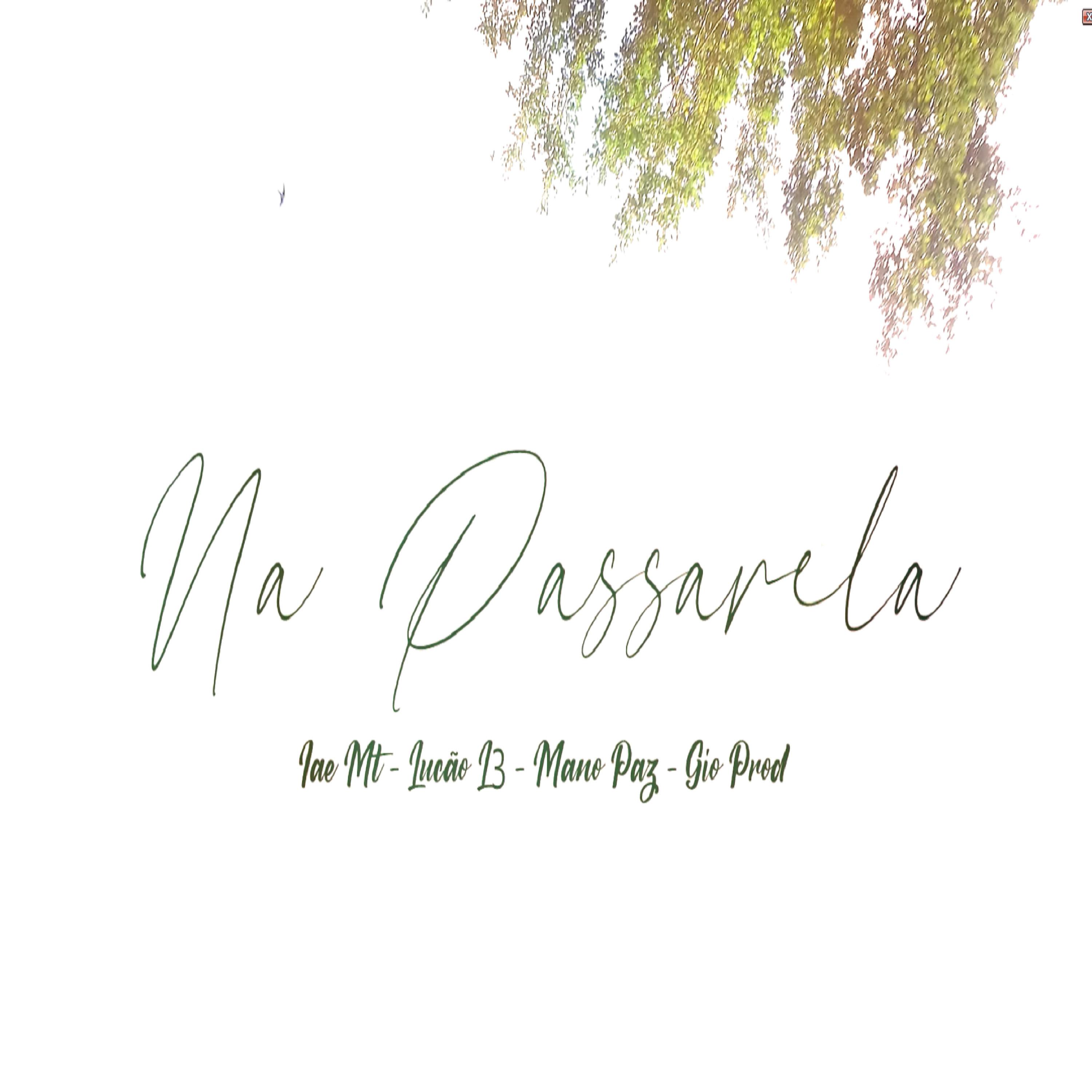 Постер альбома Na Passarela