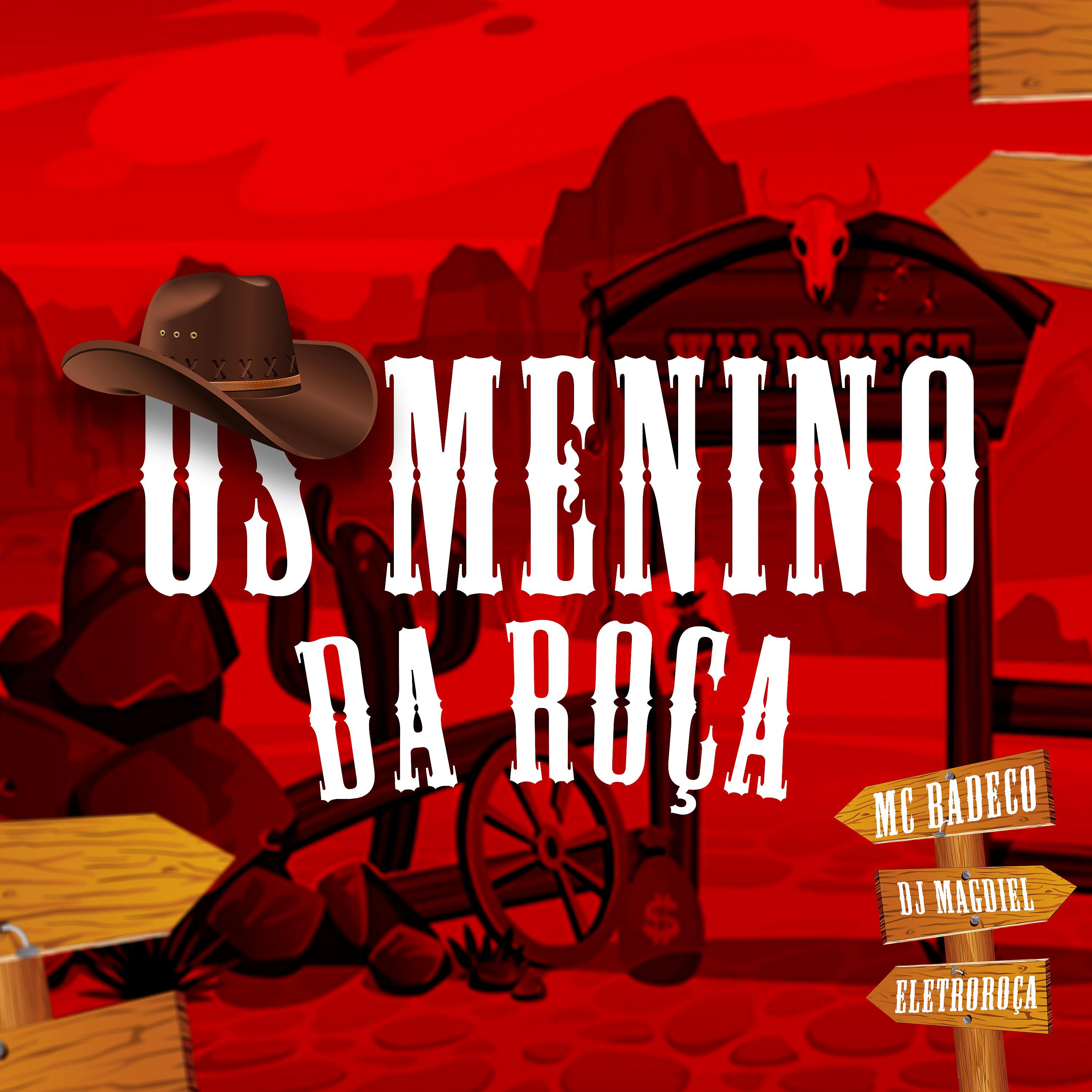 Постер альбома Os Menino da Roça