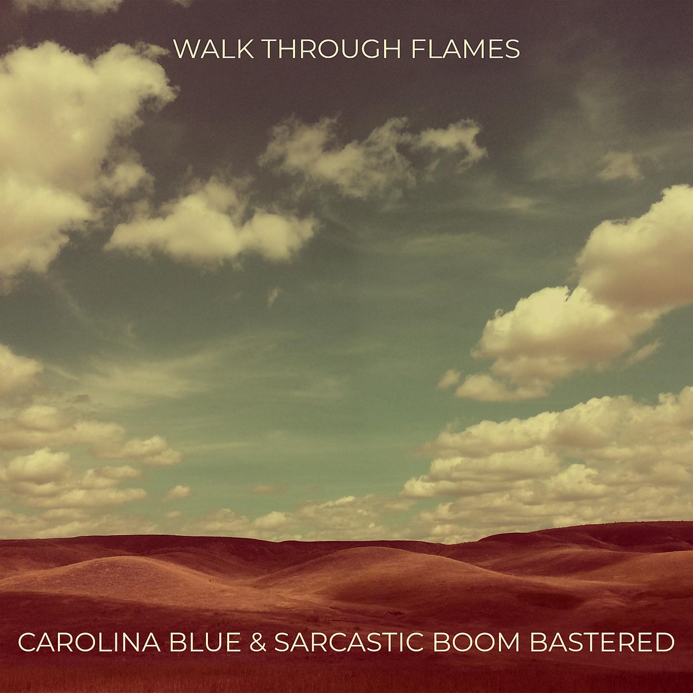 Постер альбома Walk Through Flames