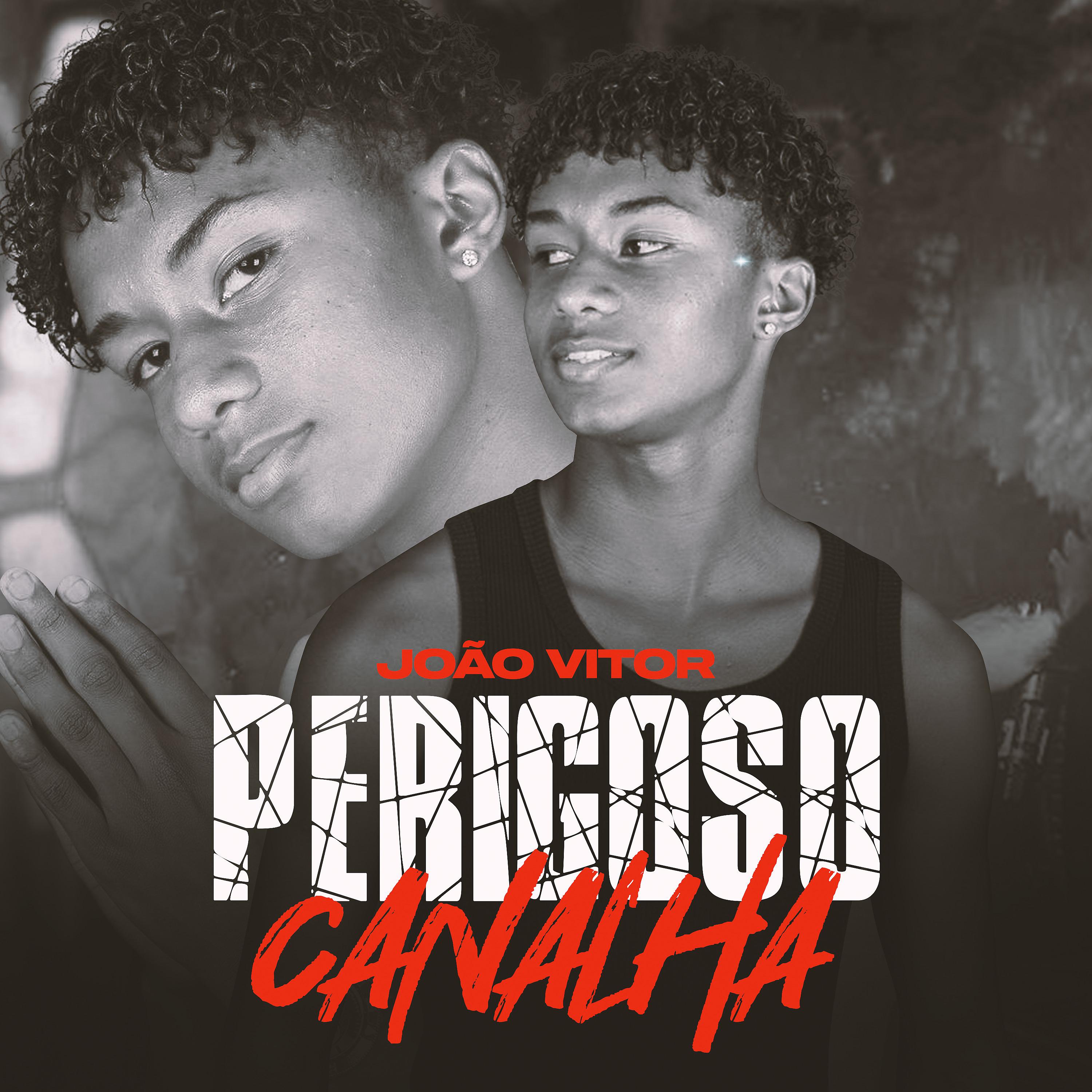 Постер альбома Perigoso Canalha