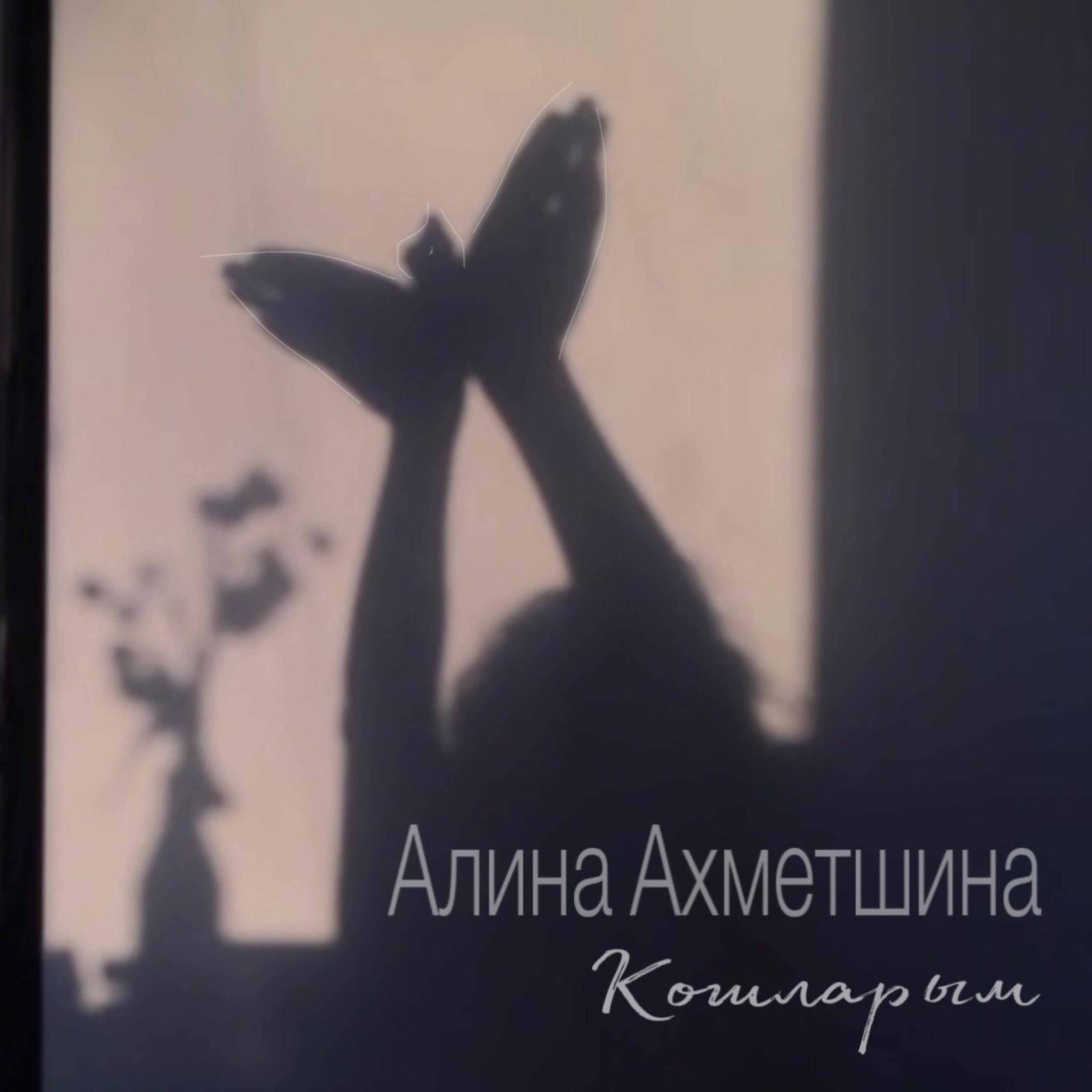 Постер альбома Кошларым