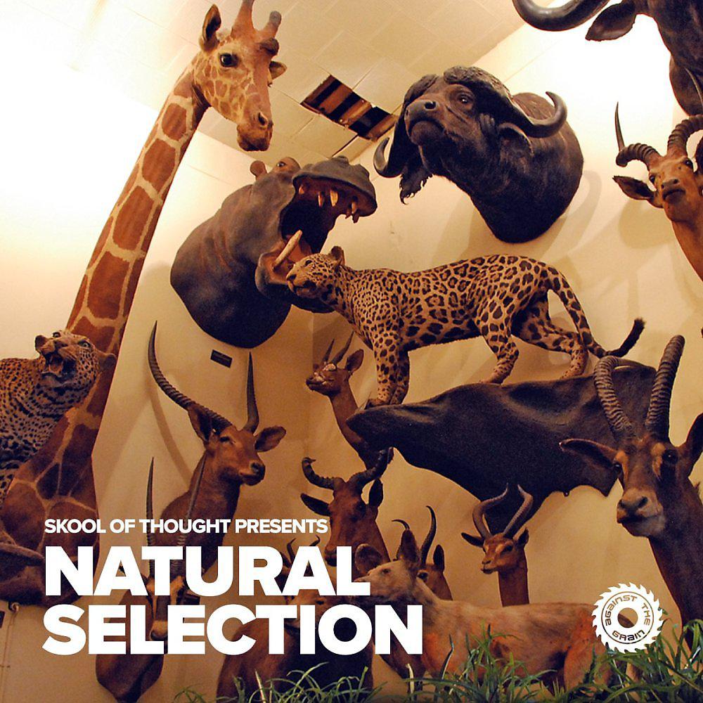 Постер альбома Skool of Thought presents Natural Selection