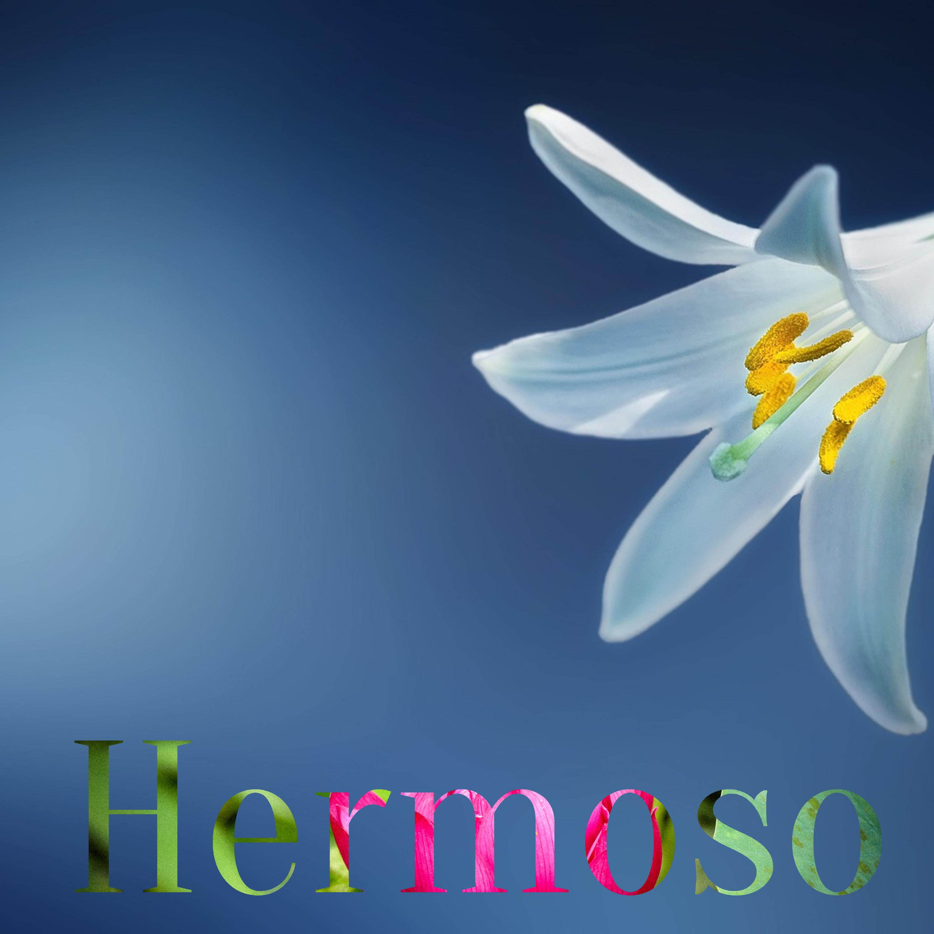 Постер альбома Hermoso