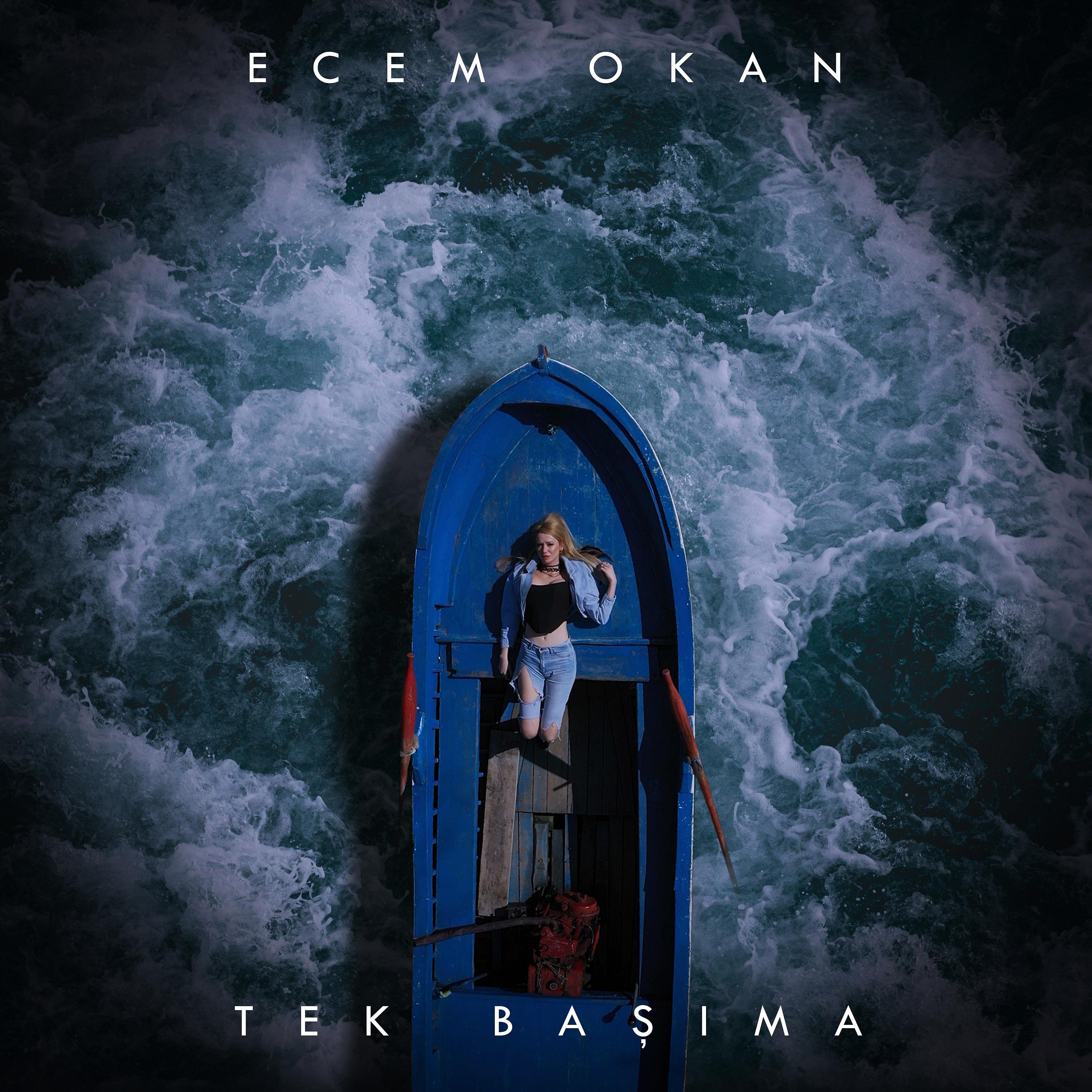 Постер альбома Tek Başıma