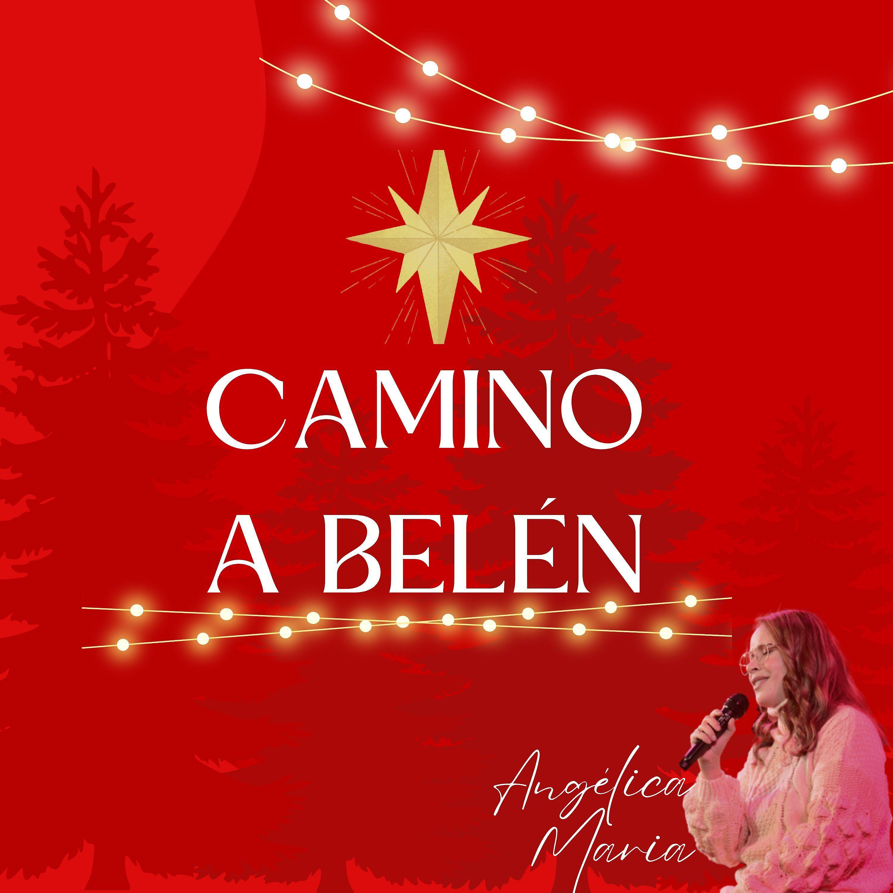 Постер альбома Camino a Belén