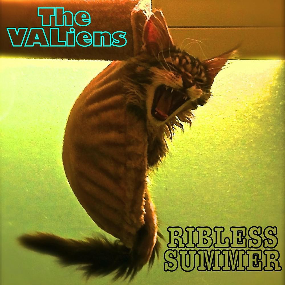 Постер альбома Ribless Summer