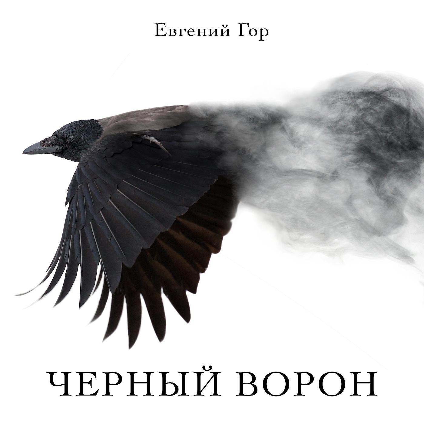 Постер альбома Черный ворон
