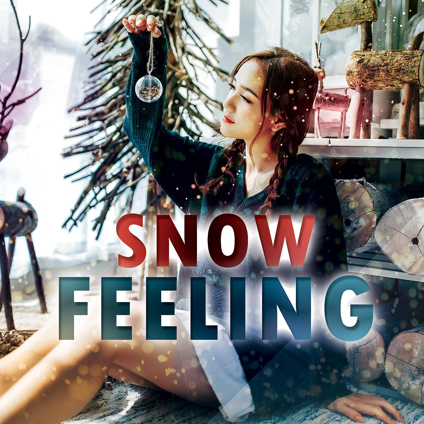 Постер альбома Snow Feeling