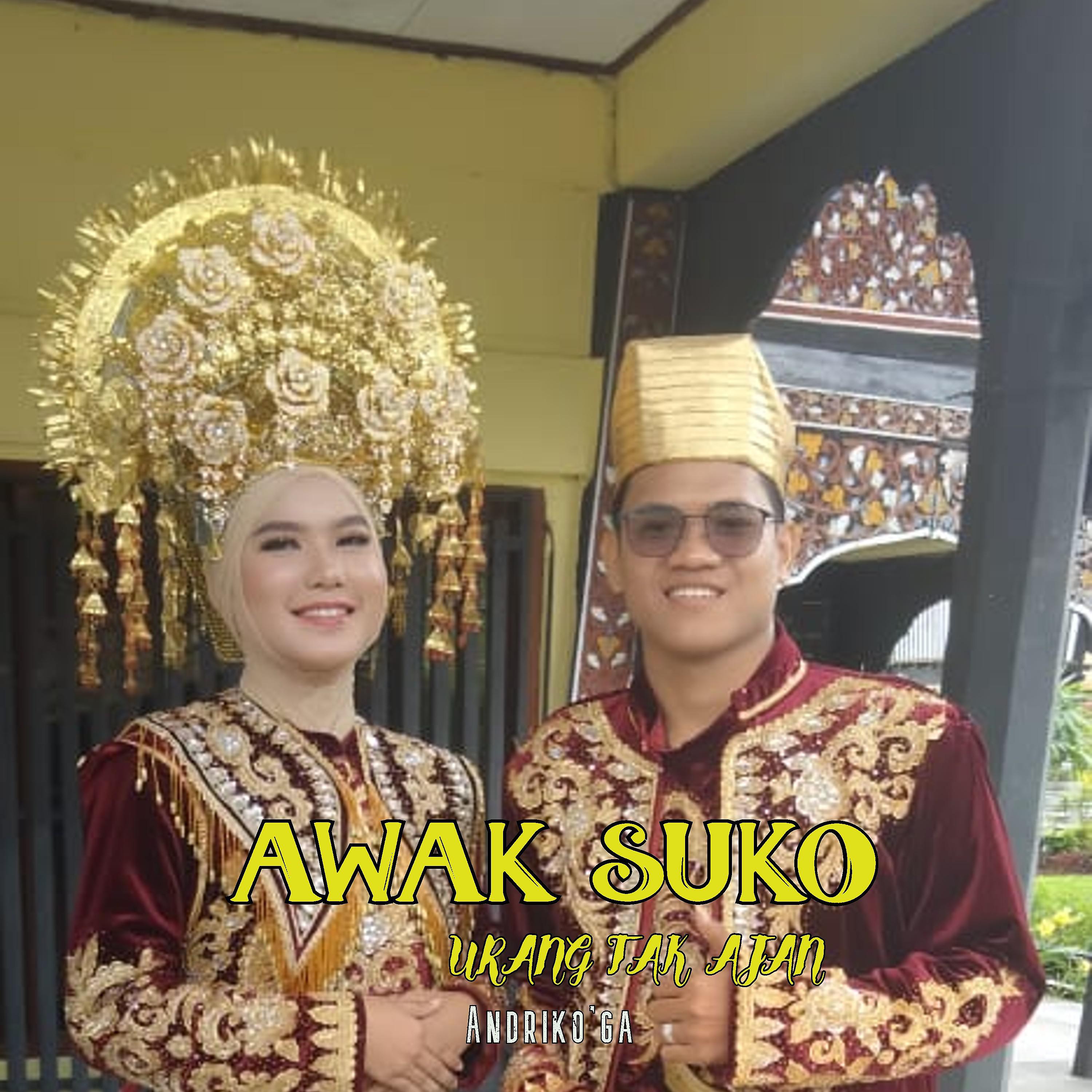 Постер альбома Awak Suko Urang Tak Ajan
