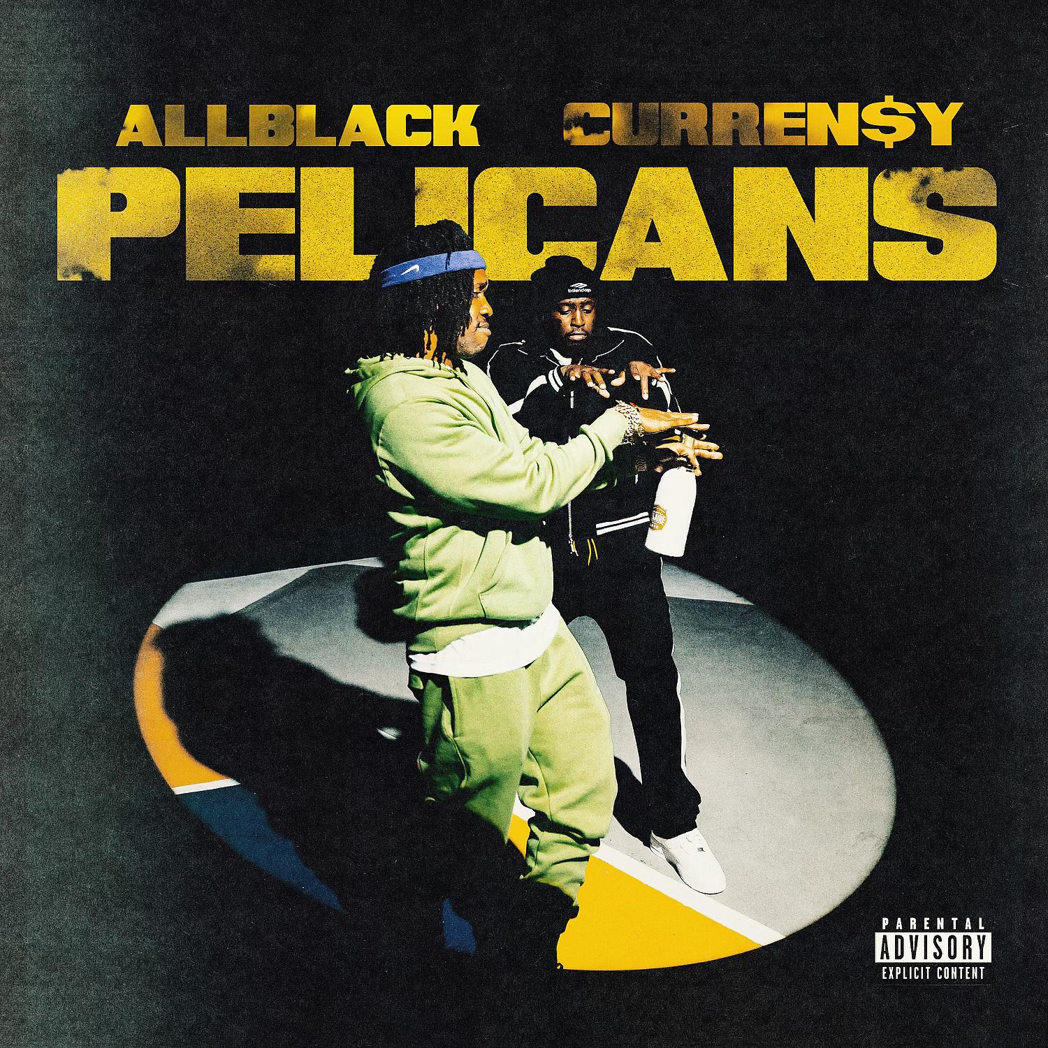 Постер альбома Pelicans