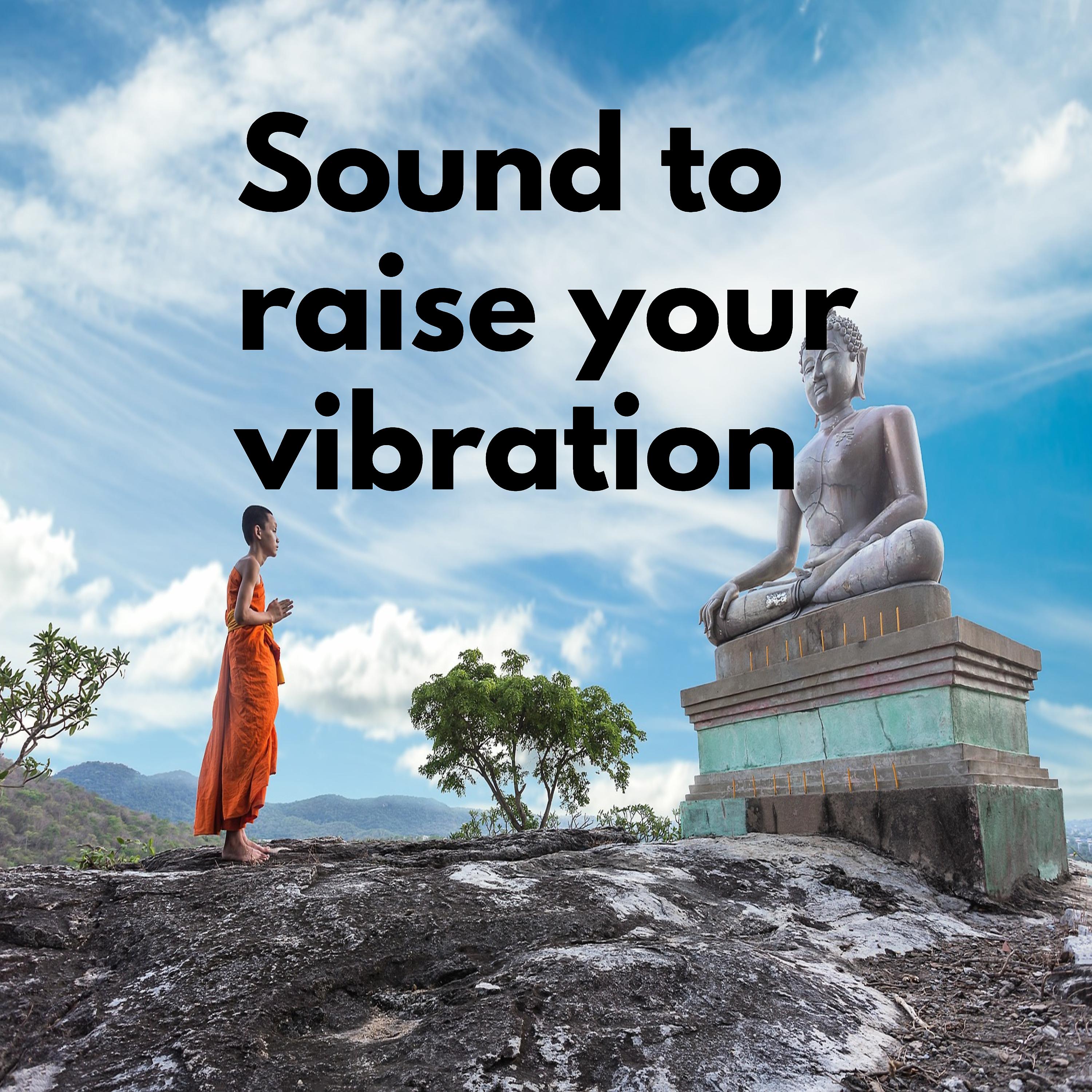 Постер альбома Sound to raise your vibration