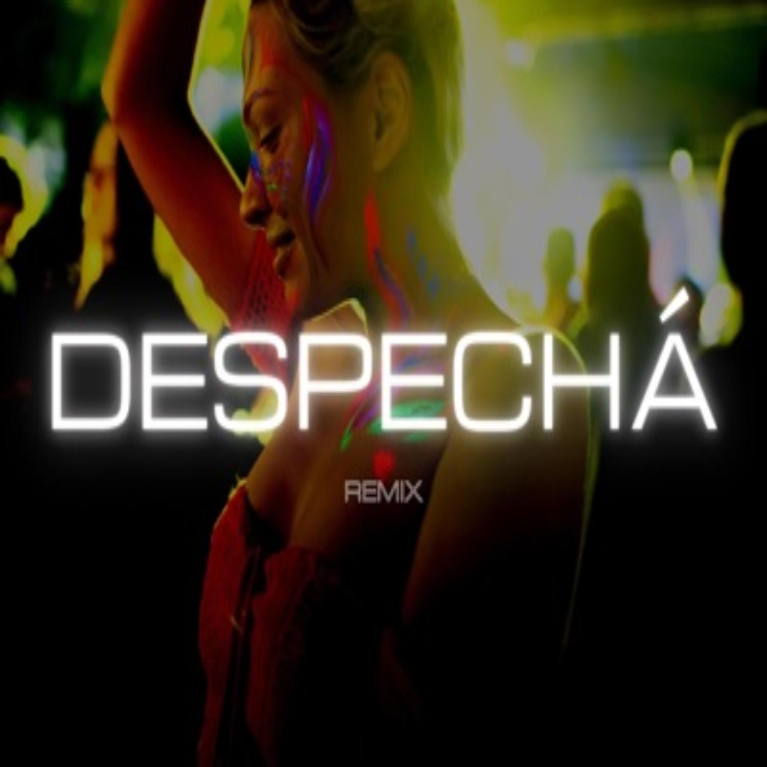 Постер альбома Despecha Remix