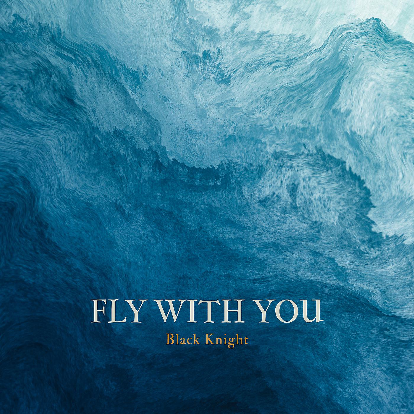 Постер альбома Fly WITH You