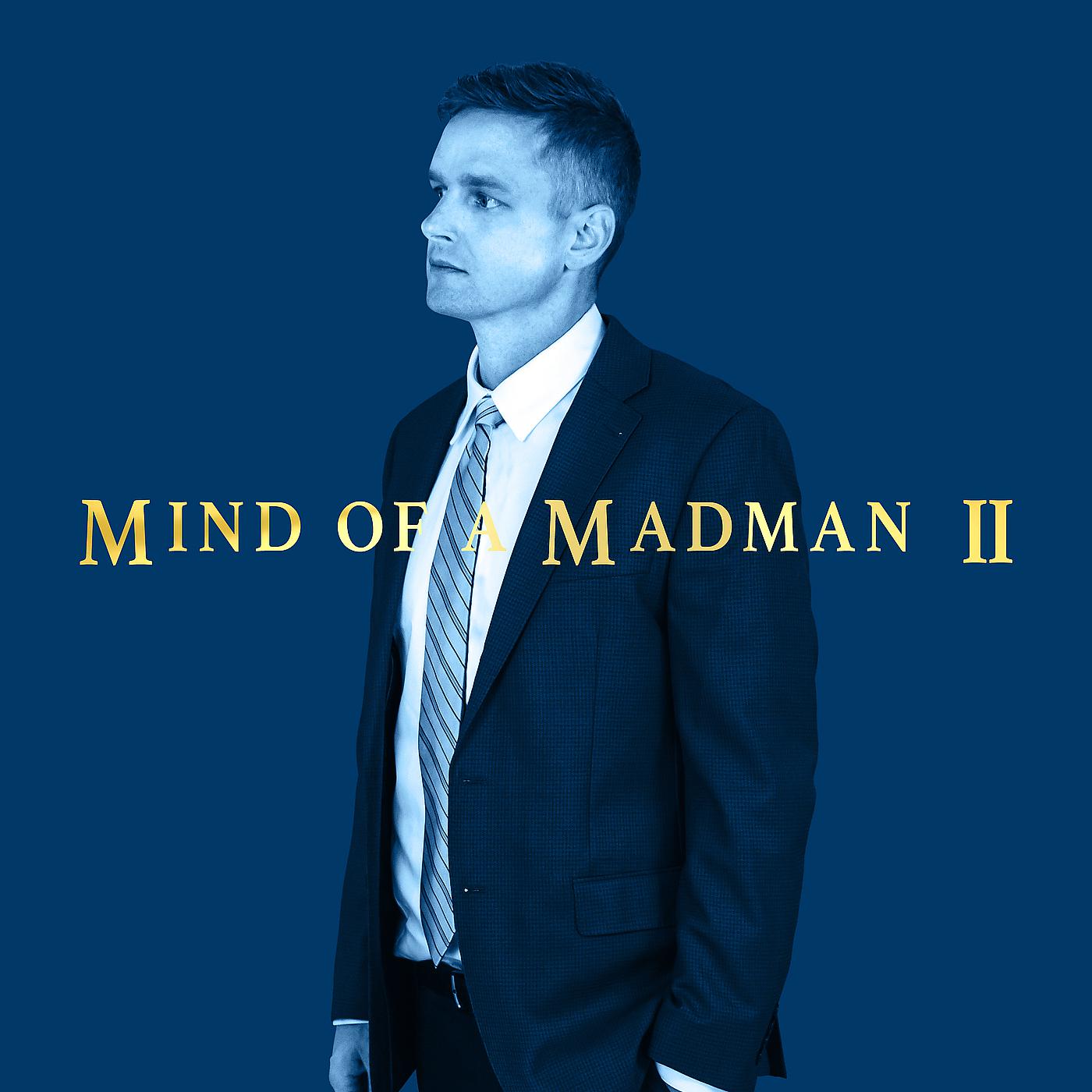 Постер альбома Mind of a Madman II