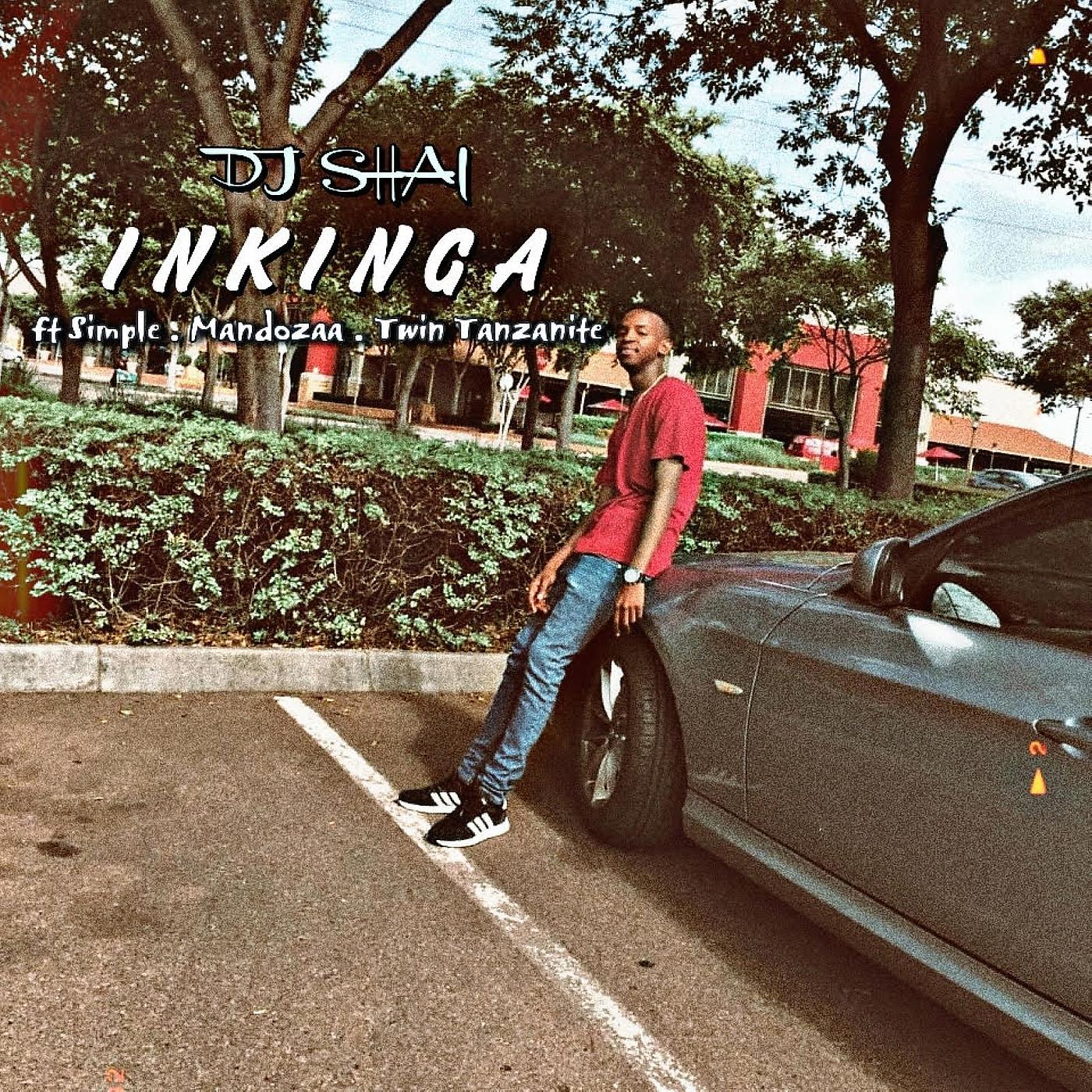 Постер альбома Inkinga