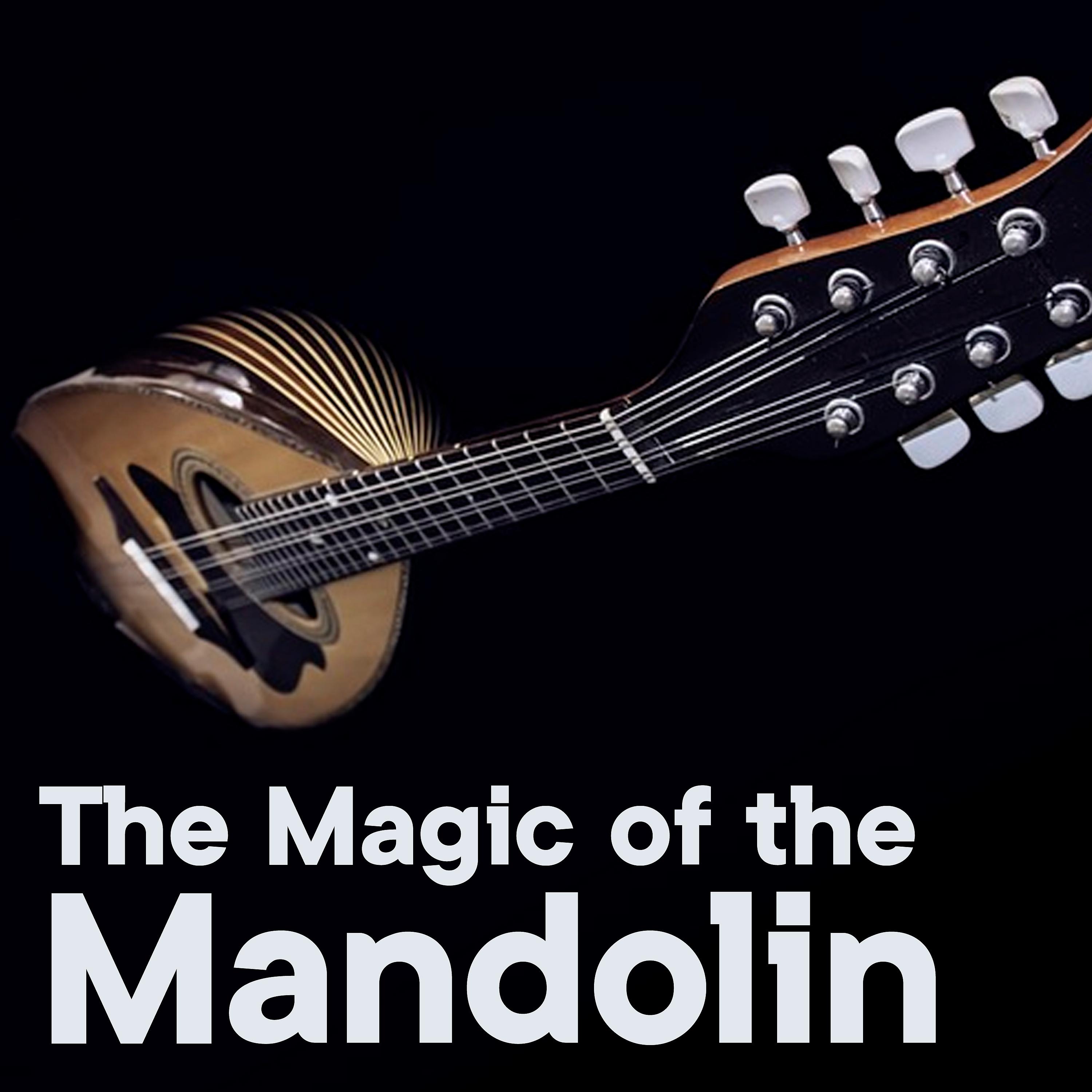 Постер альбома The Magic of the Mandolin, Vol. 1