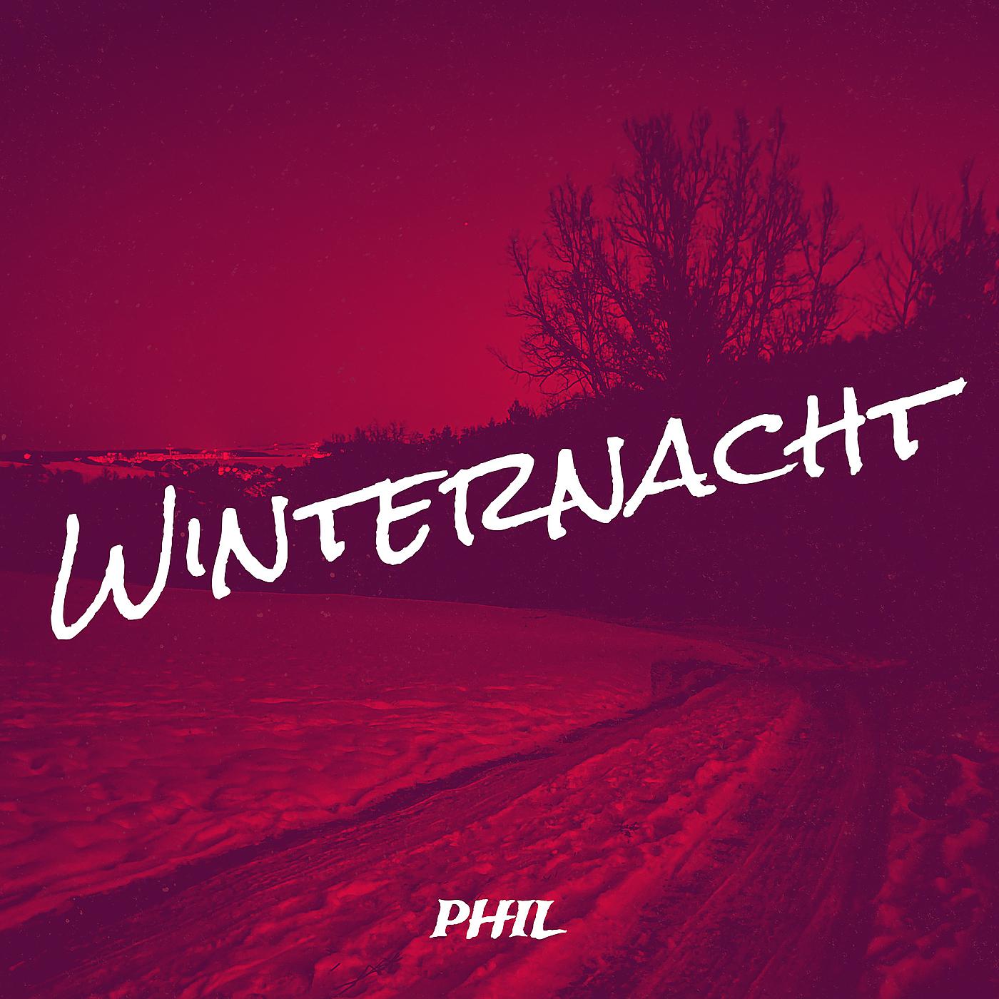 Постер альбома Winternacht
