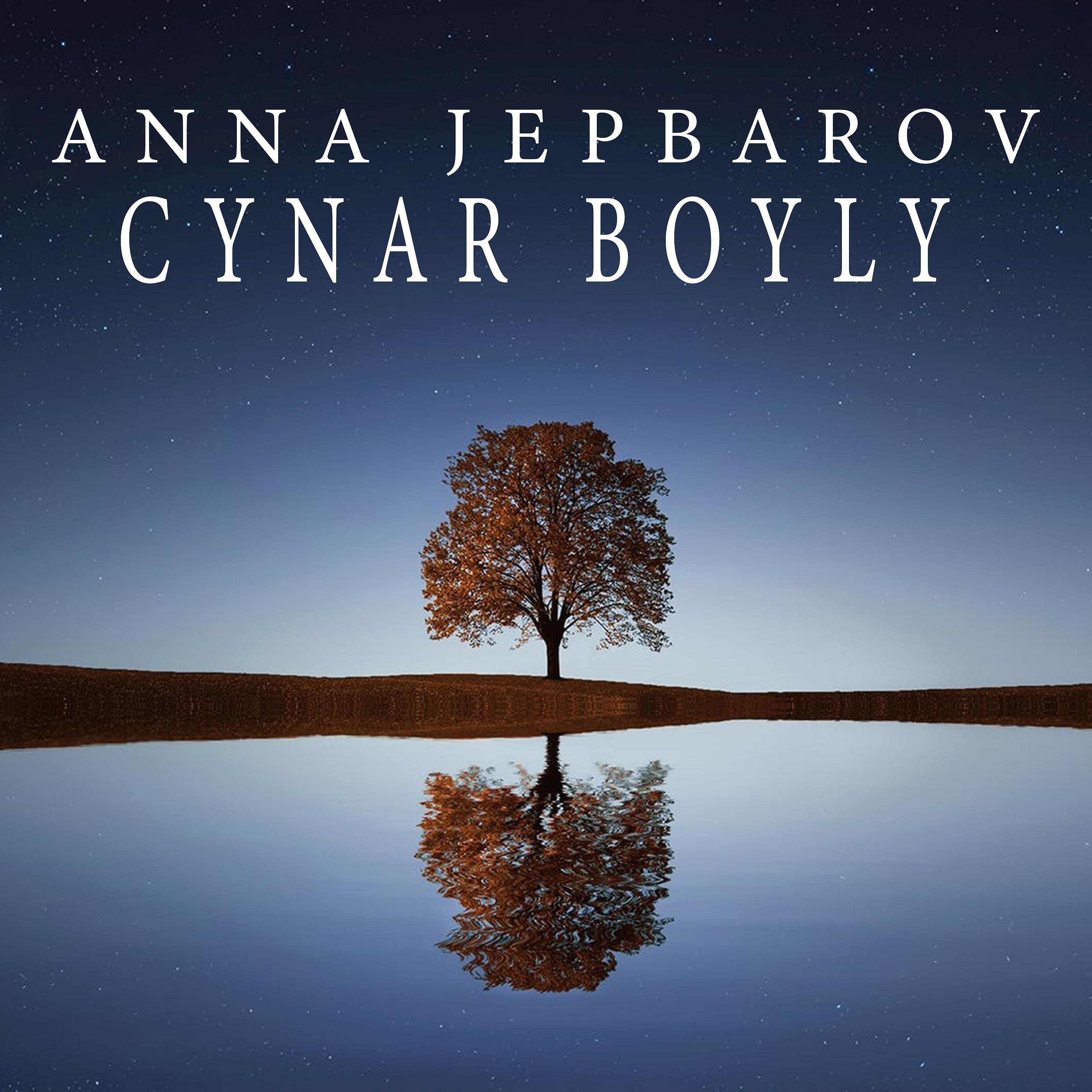 Постер альбома Cynar Boyly