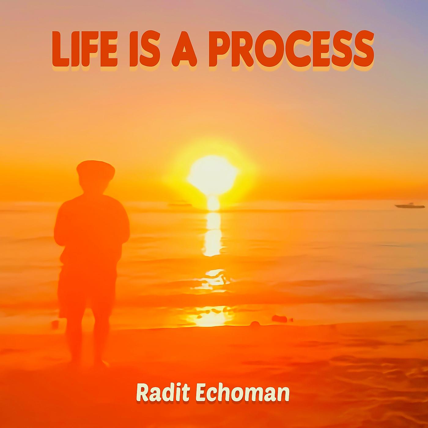 Постер альбома Life Is a Process
