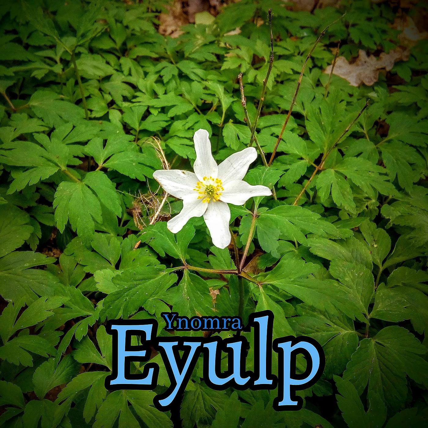 Постер альбома Eyulp