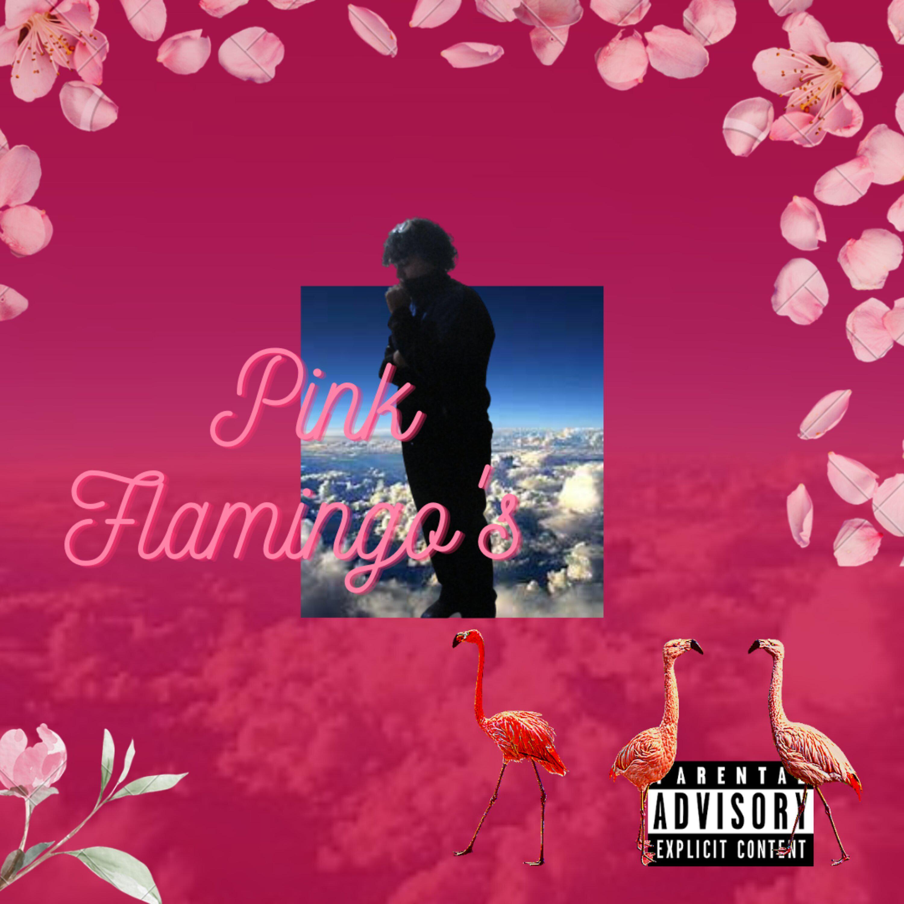 Постер альбома Pink Flamingo's