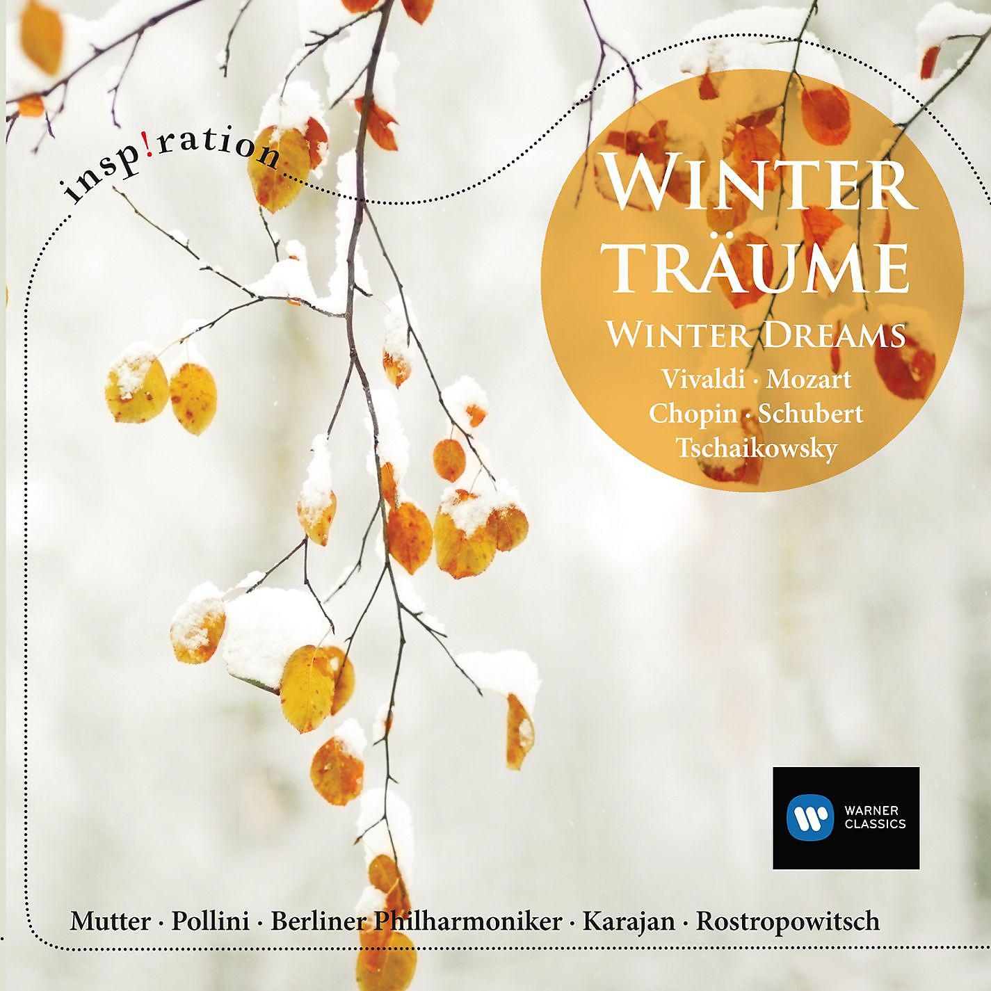 Постер альбома INSPIRATION Winterträume - Winter Dreams