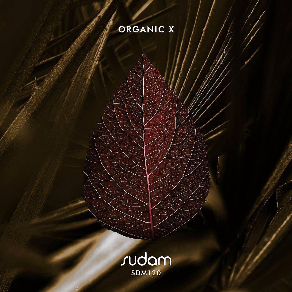 Постер альбома Organic X