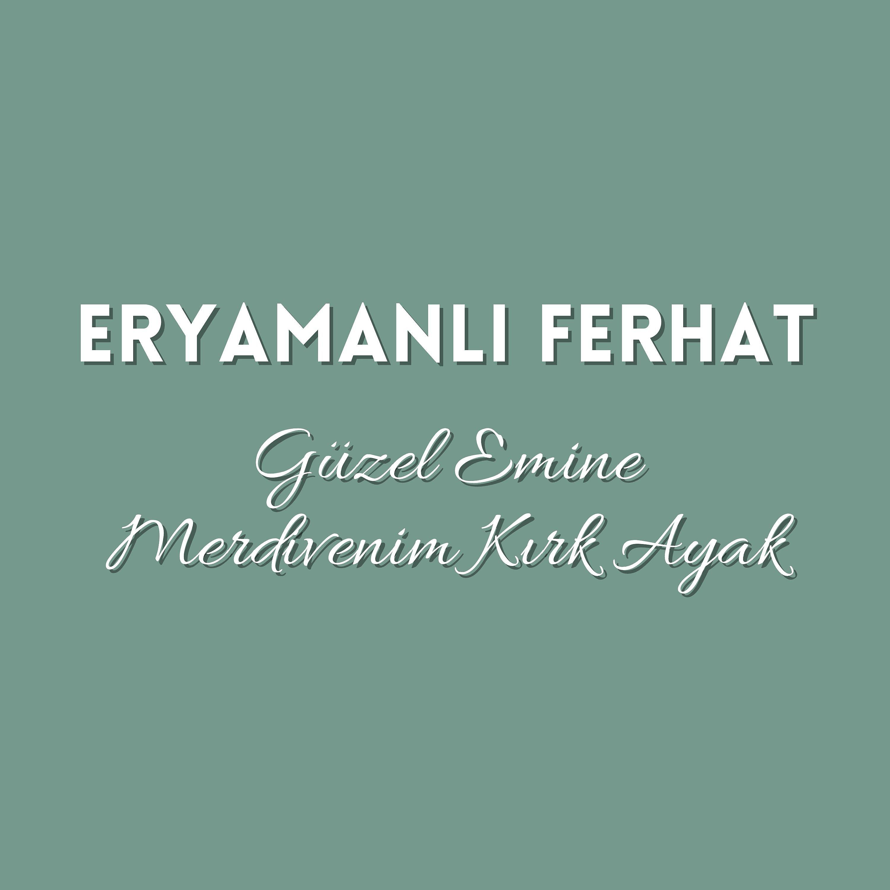 Постер альбома Güzel Emine / Merdivenim Kırkayak