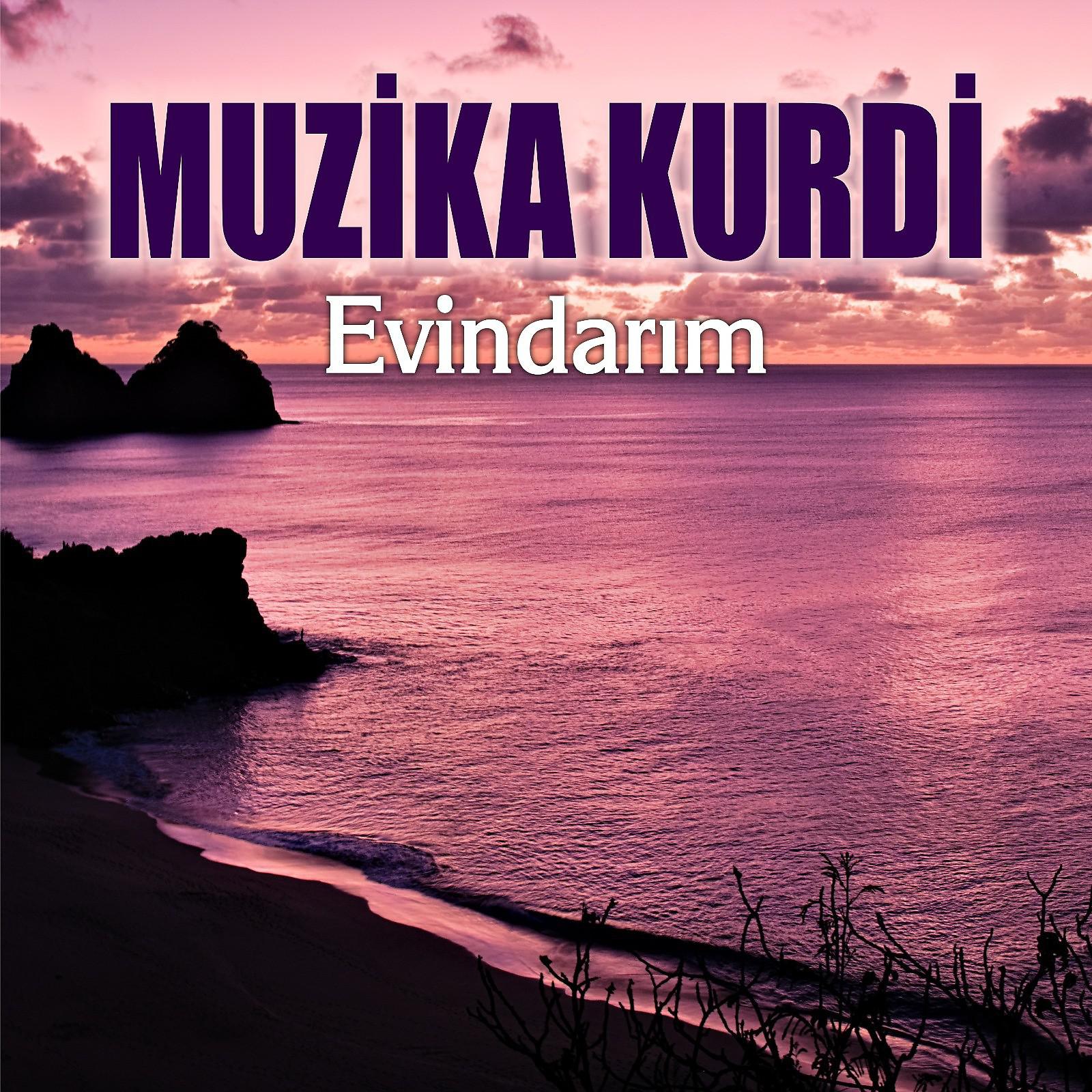 Постер альбома Evindarım
